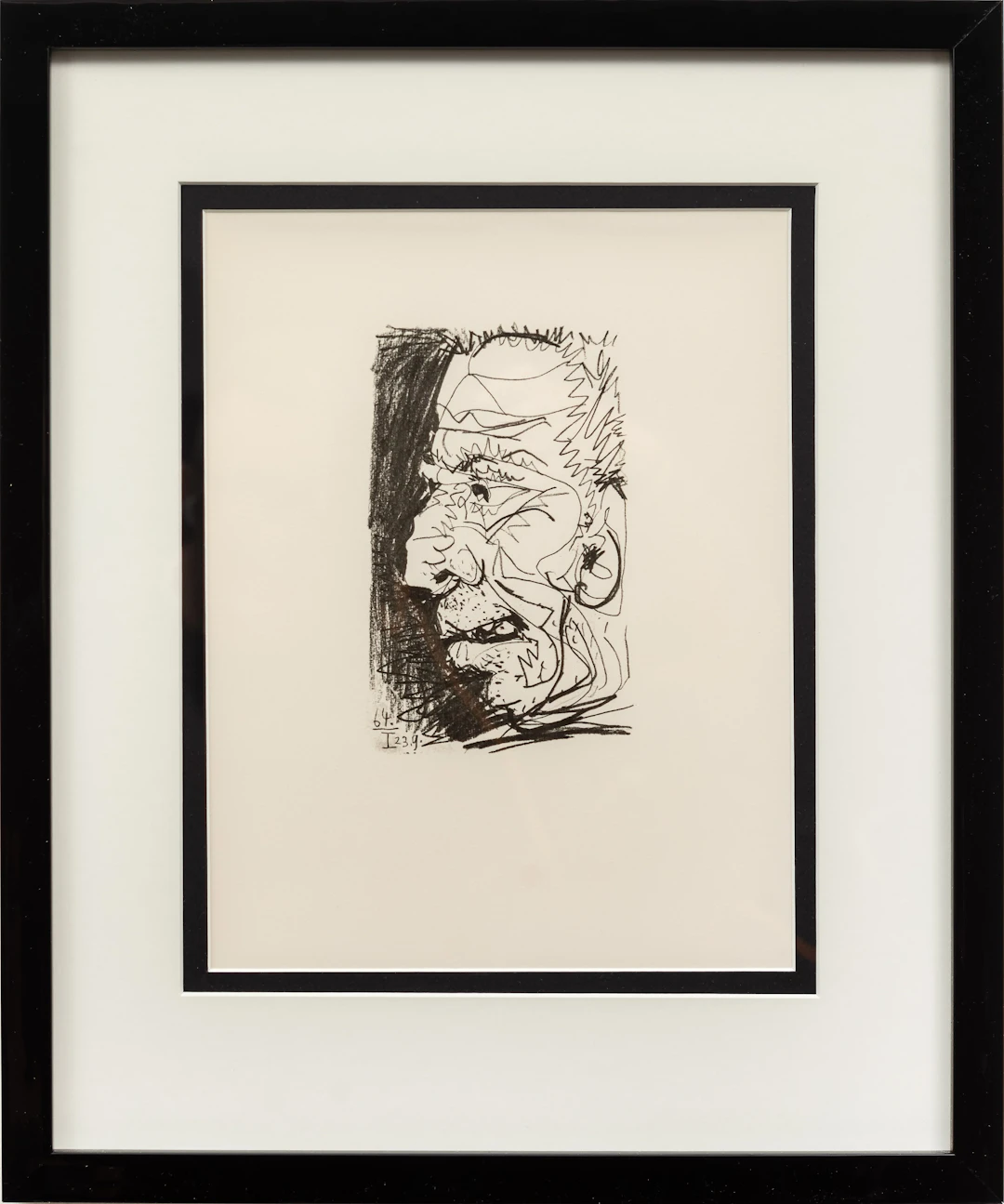 Pablo Picasso - XIV
