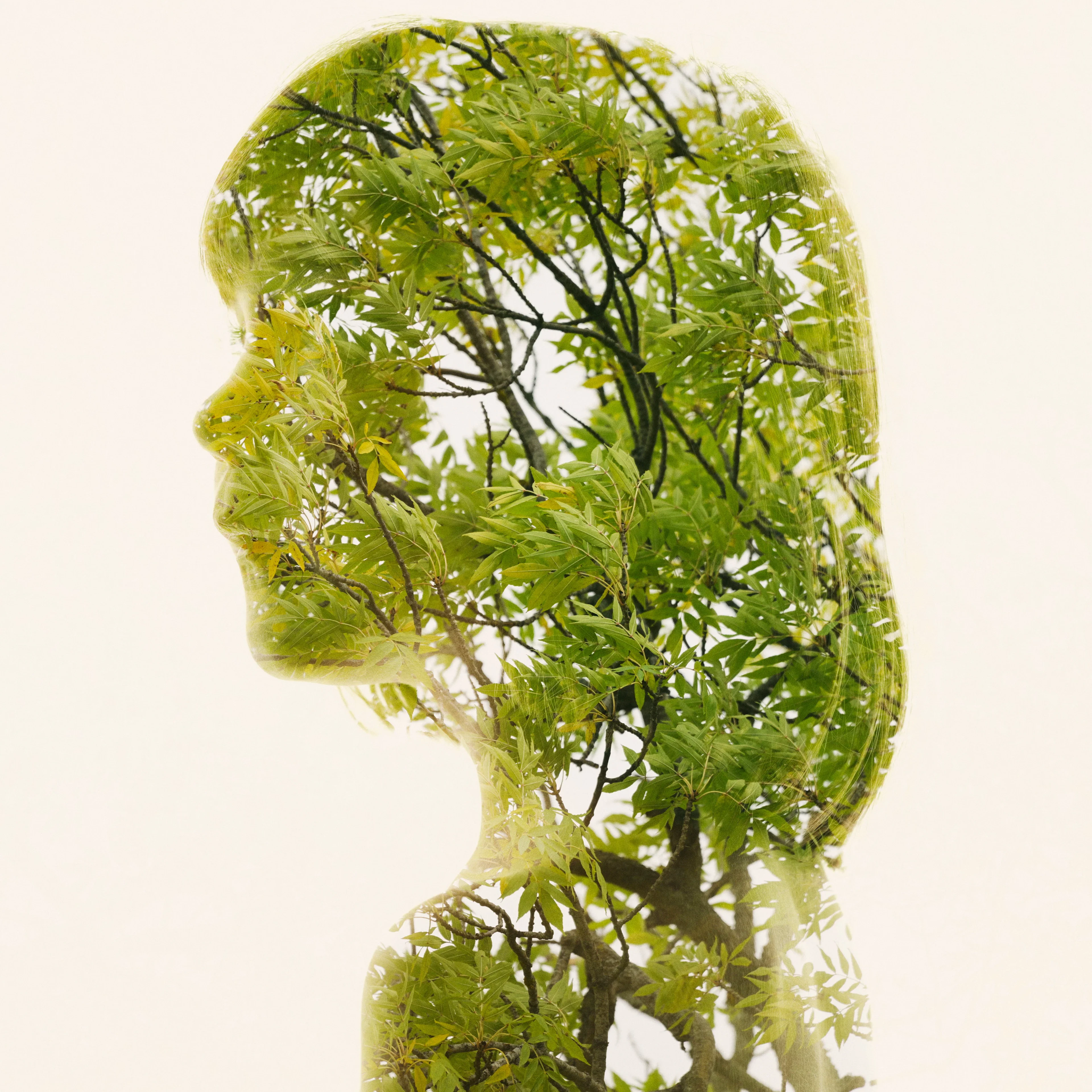 Christoffer Relander - Summer Green II S