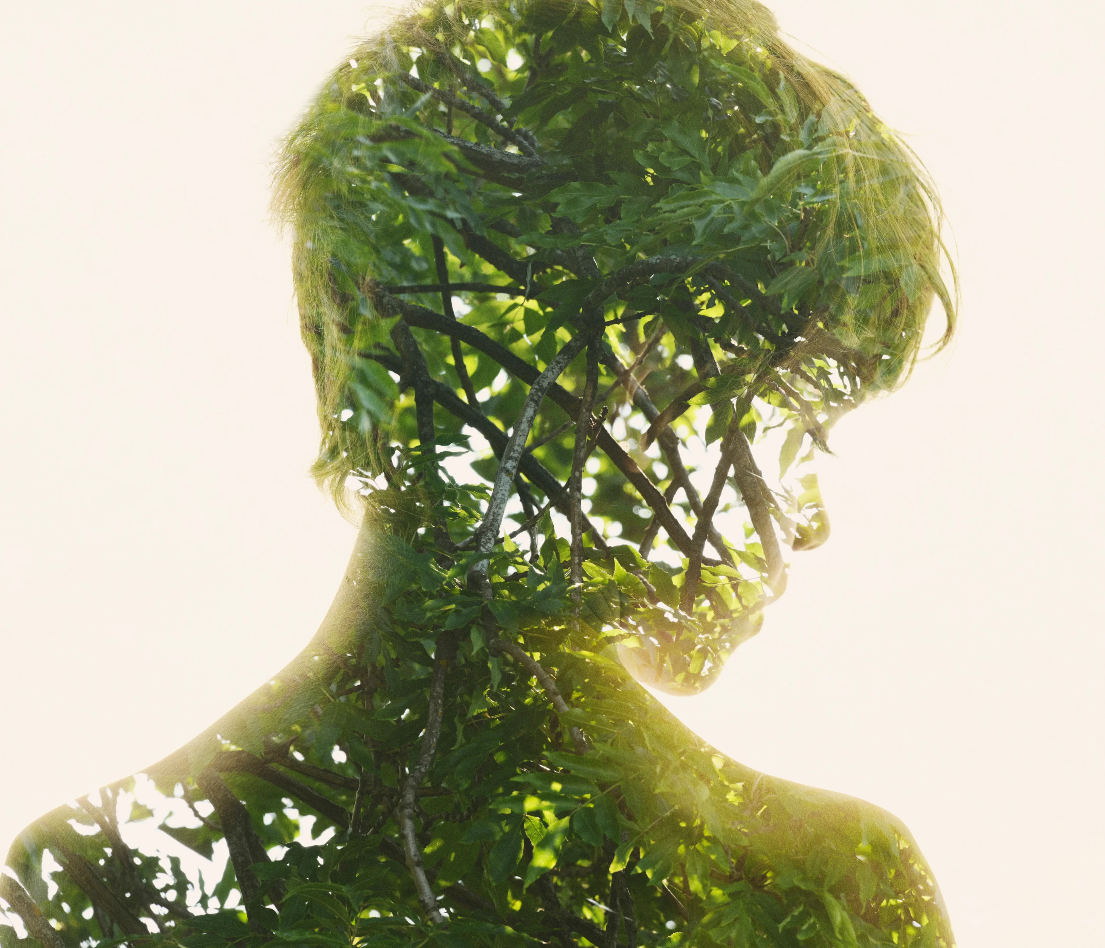 Christoffer Relander - Roots of the Spine