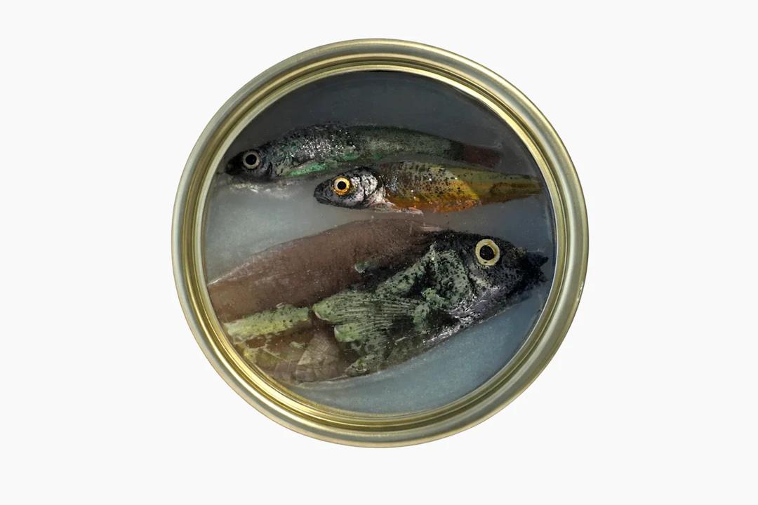 Ortaire de Coupigny - Gems of The Ocean XXXVII