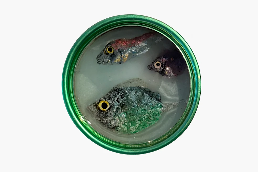 Ortaire de Coupigny - Gems of The Ocean LIII