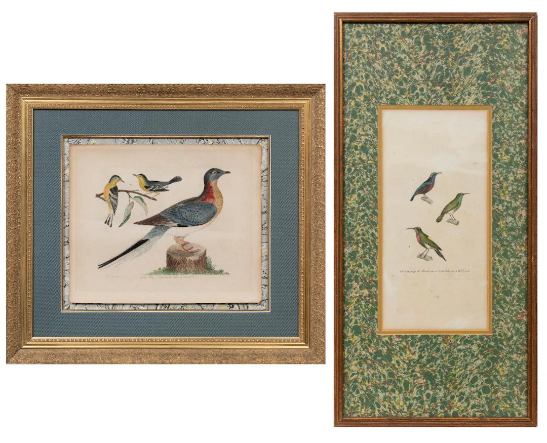Two Natural History Bird Engravings, Jean-Gabriel Pretre and After
