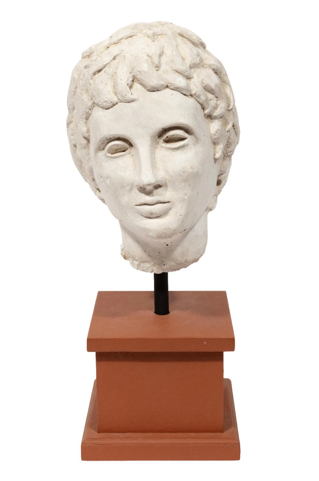 American School, 20th c., Bust, plaster