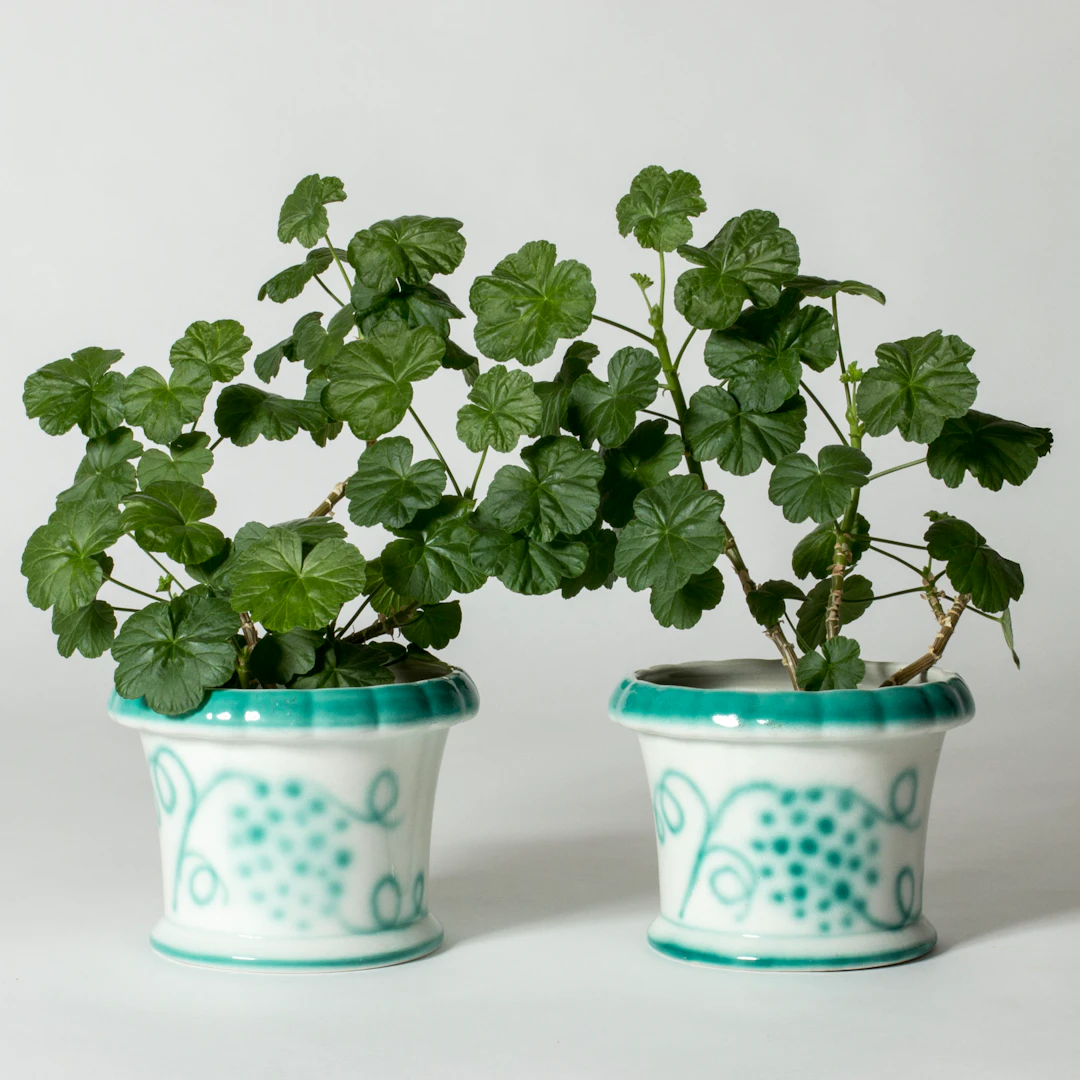 Art Deco planters by Wilhelm Kåge