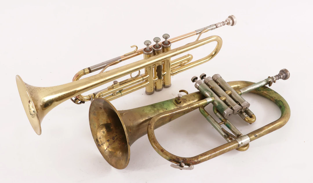 Blåsinstrument 2st