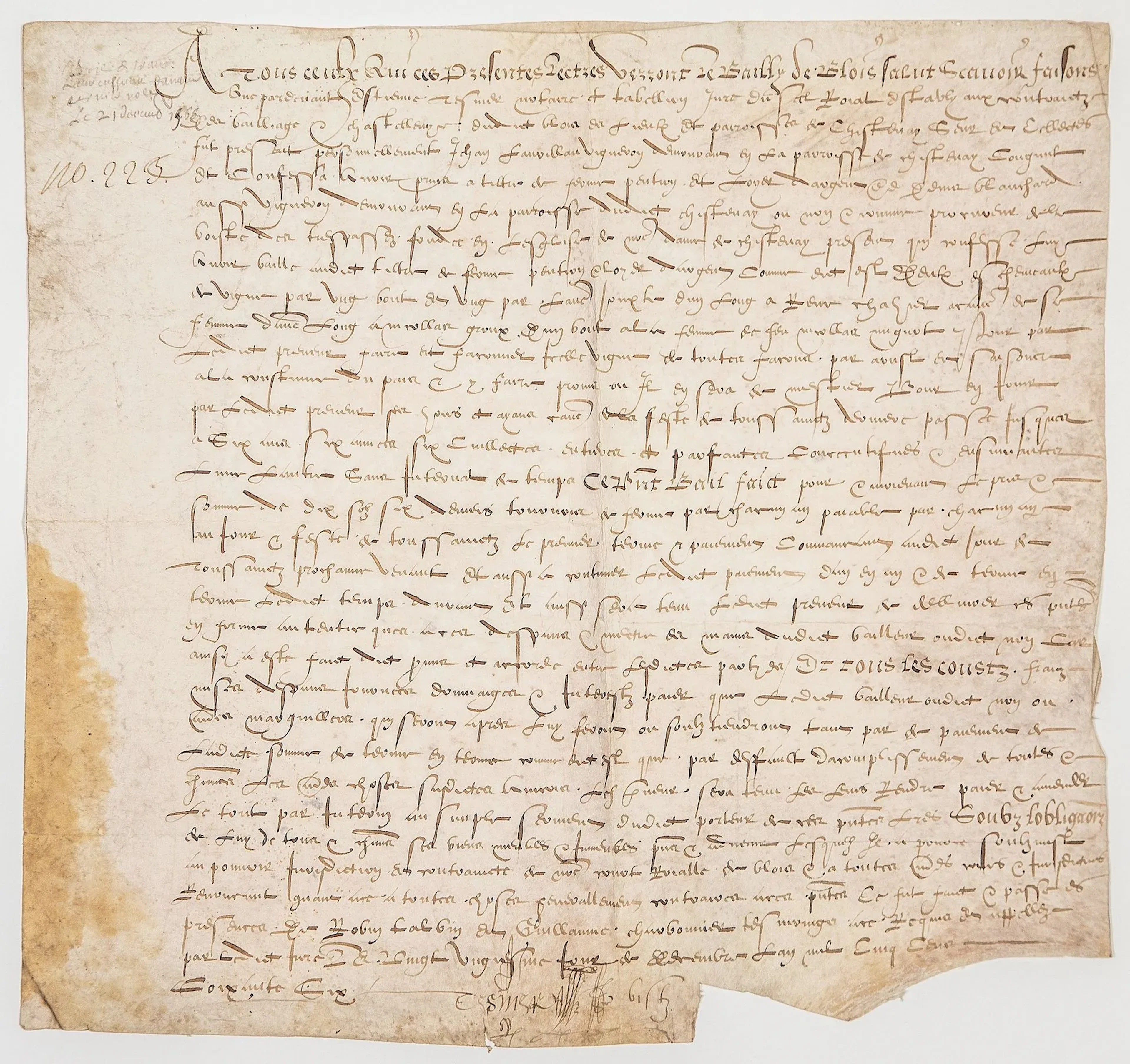 LOIR-ET-CHER. 1566. Before the Bailiff of BLOIS, Lease Agree - Lot 1