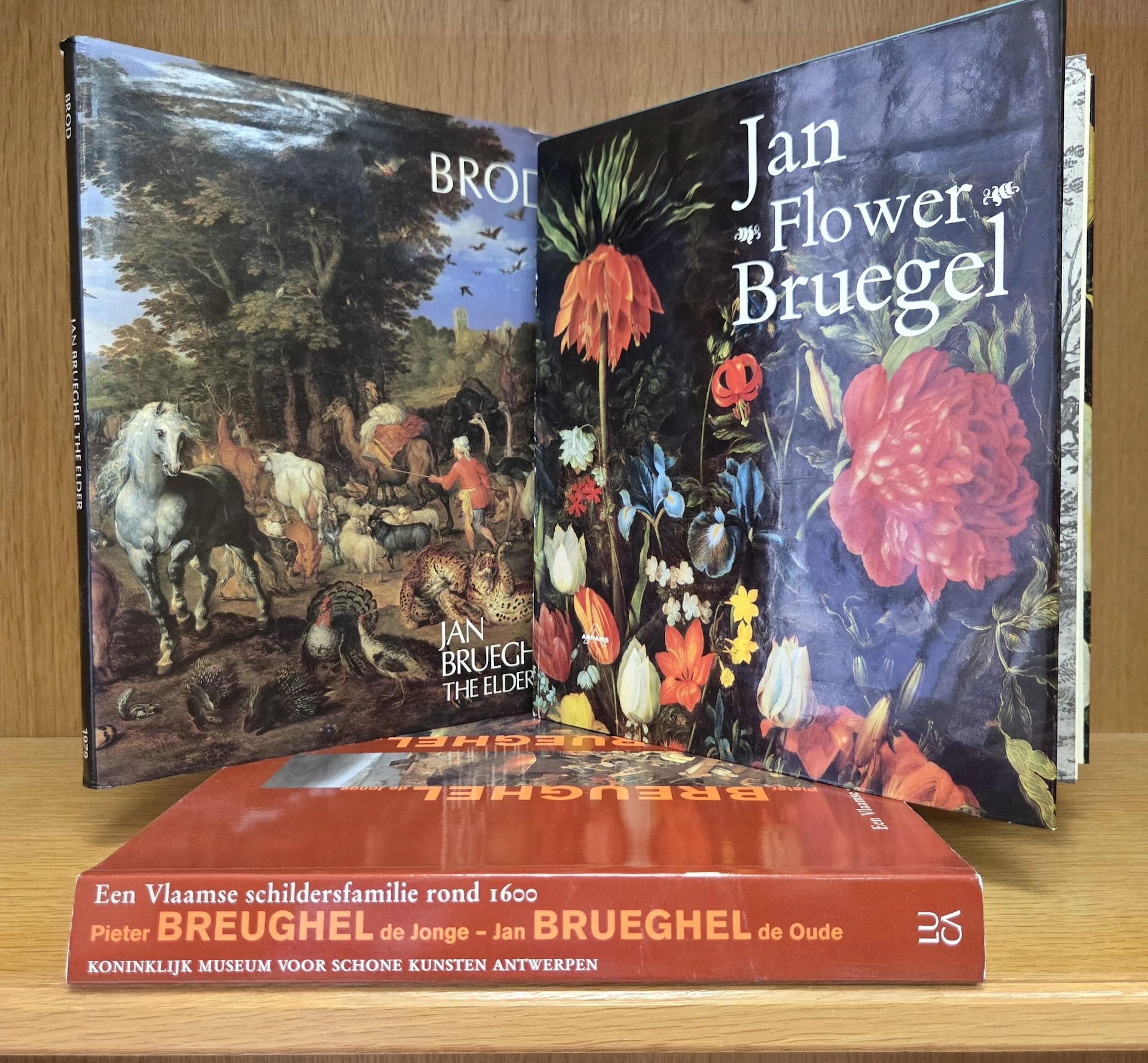 Set of three books on the BRUEGHEL dynasty: - Lot 179