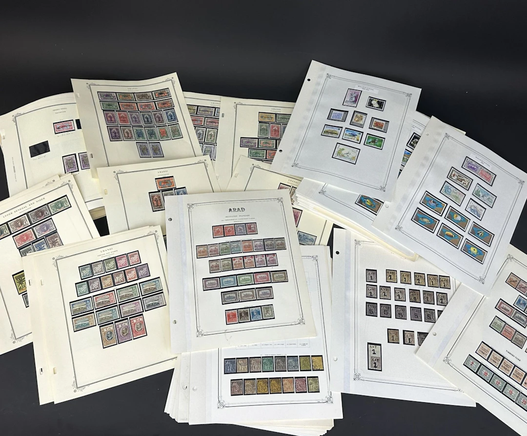 French Colonies: A large collection of French Colonies stamp - Lot 43