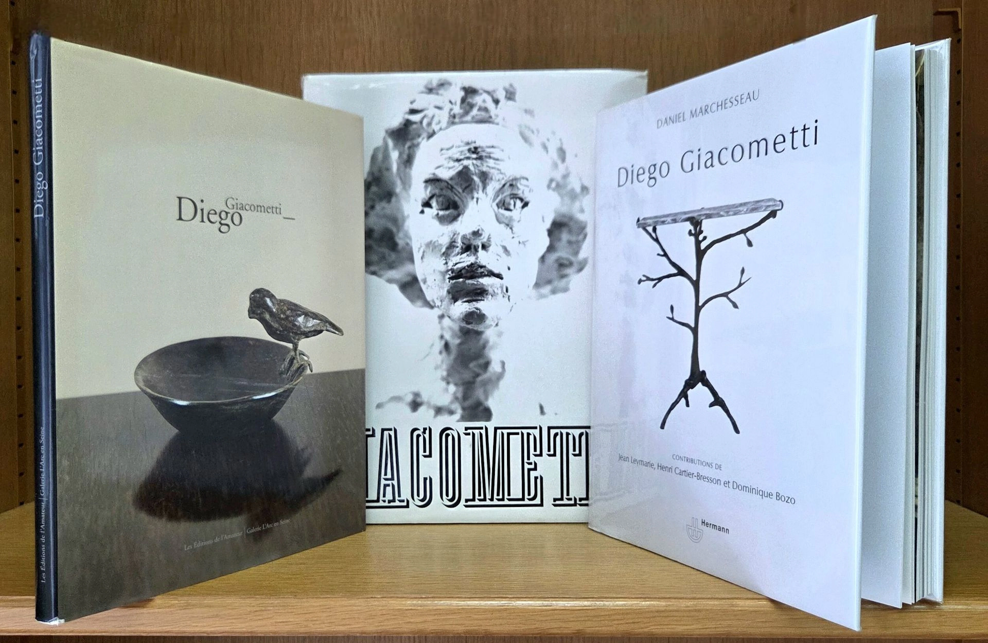 Set of three books on Diego and Alberto GIACOMETTI: - Lot 339