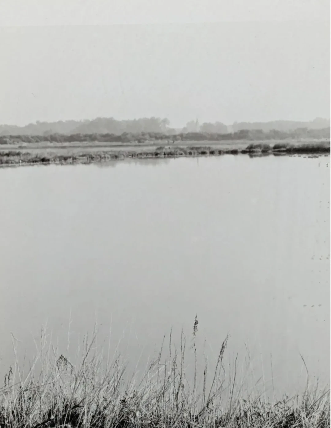 Suzanne LAFONT (born 1949). Le Littoral. Circa 1986. N°1/7. - Lot 198
