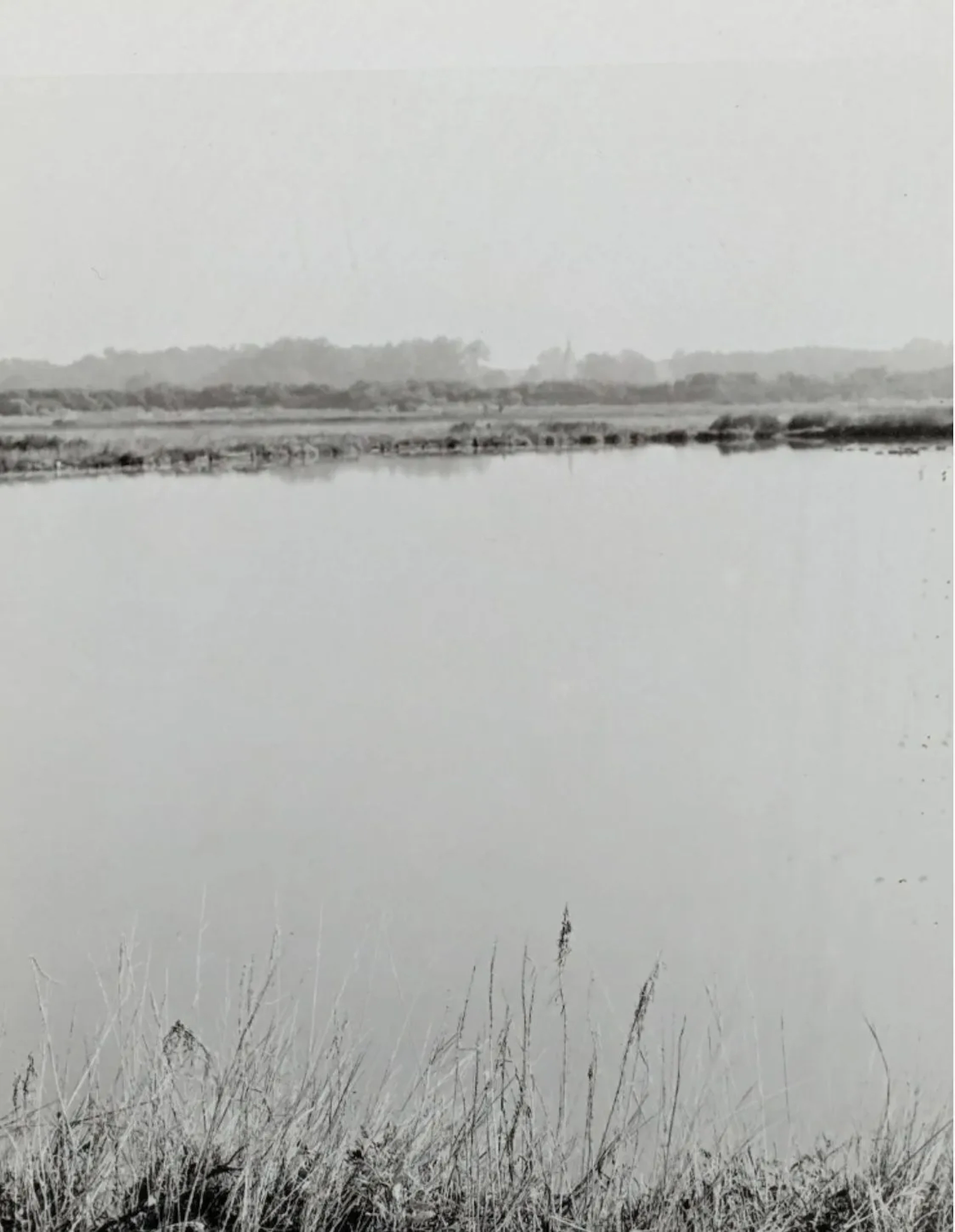 Suzanne LAFONT (born 1949). Le Littoral. Circa 1986. N°1/7. - Lot 198