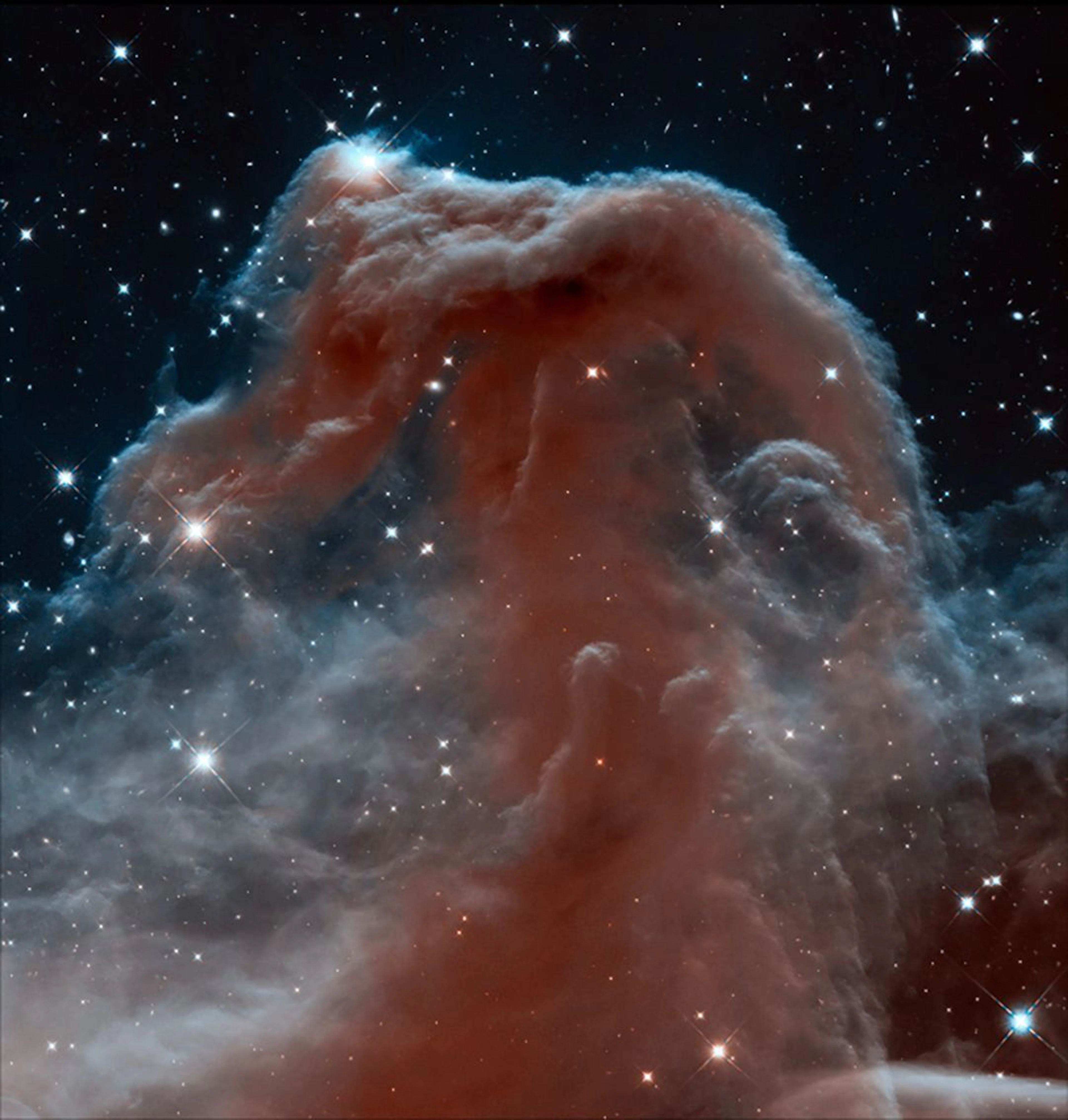 Large format. The mythical Horsehead Nebula, specially photo - Lot 246