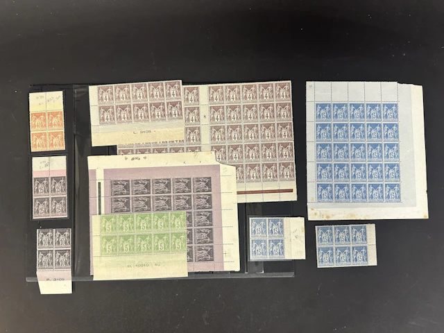 Sage: Sage-type lot in blocks of up to 50 with interleaves, - Lot 101