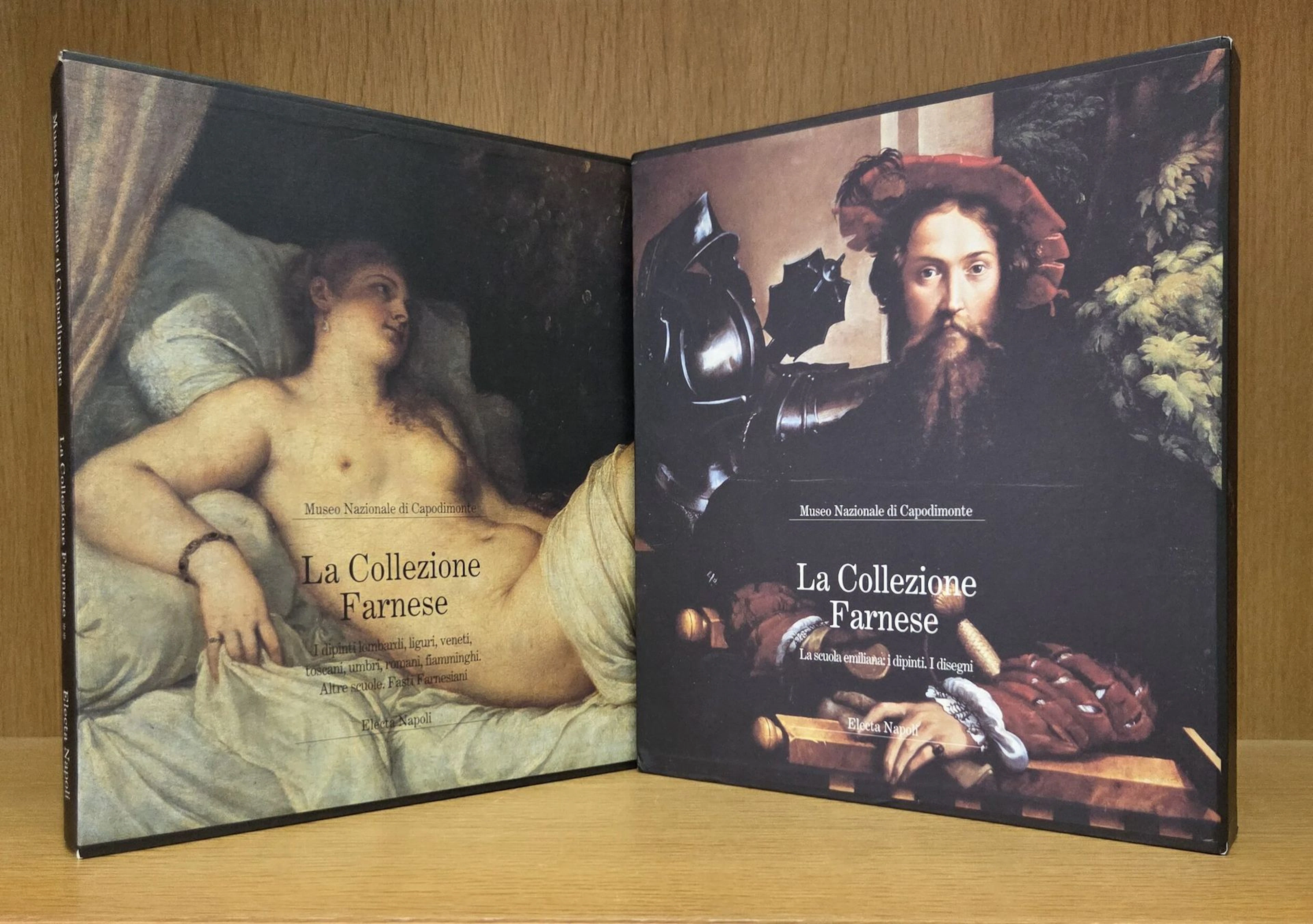 Set of two books on the Farnese collection: - Museo nazional - Lot 364