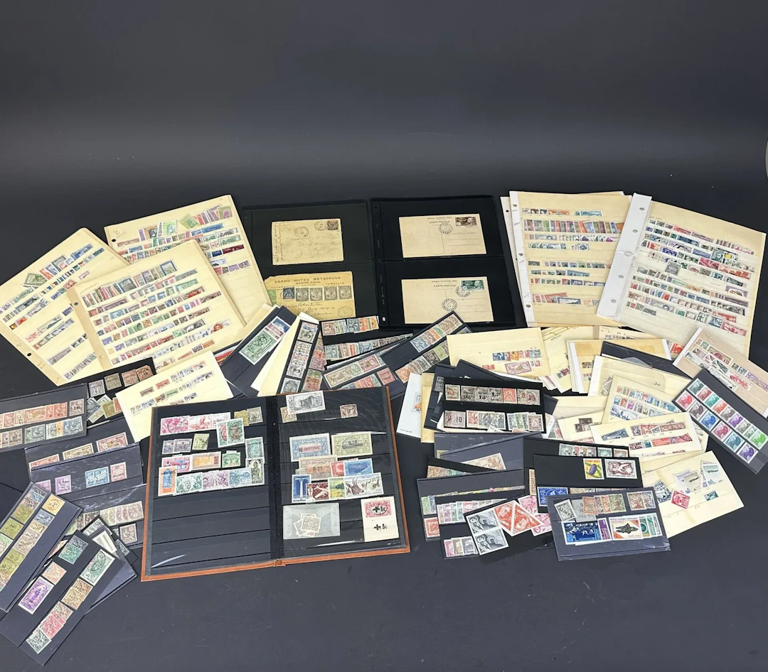 French Colonies: A large lot of French Colonial stamps in mu - Lot 44