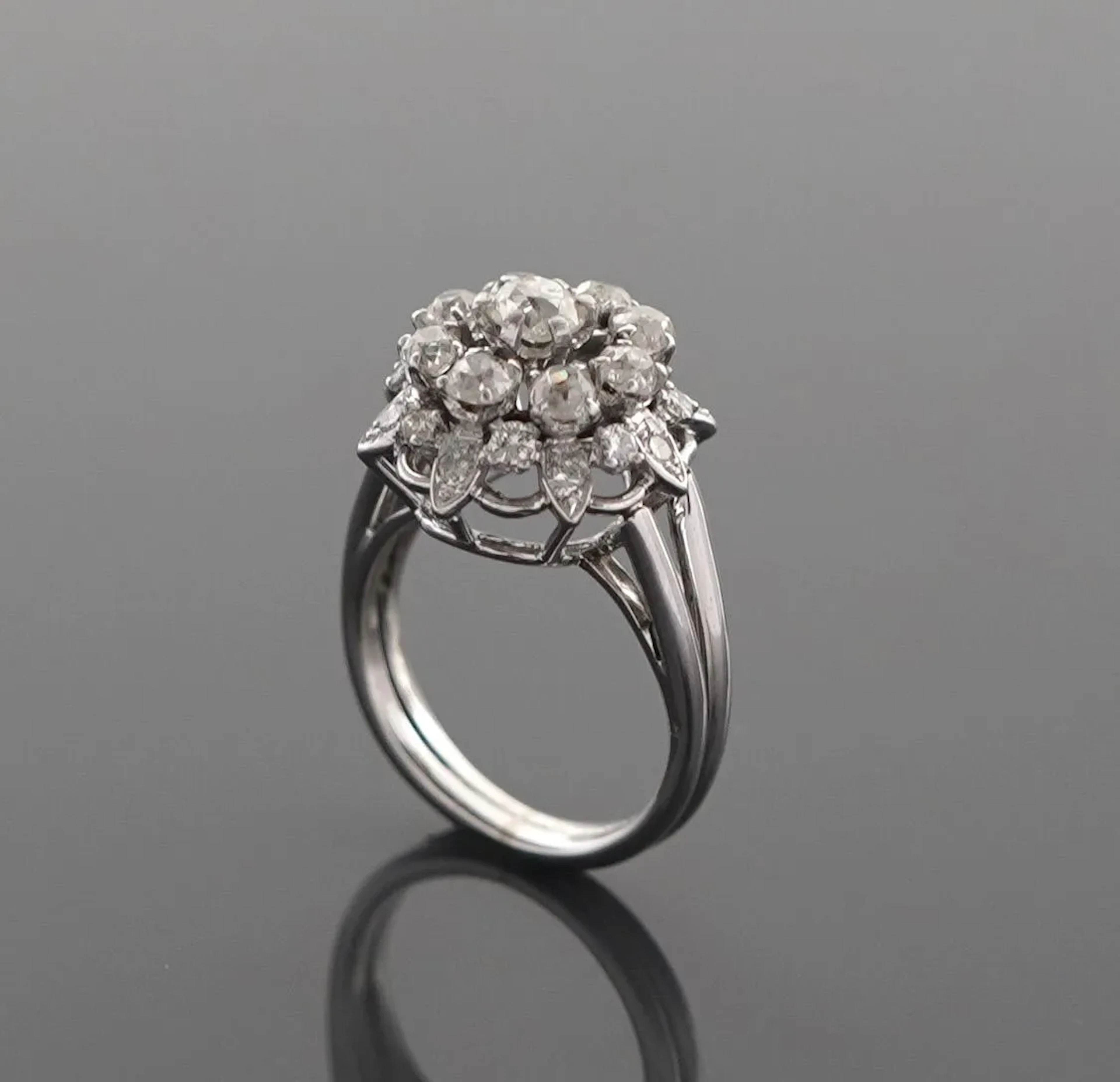 Ring in 18k white gold (750 parts per thousand) and platinum - Lot 263
