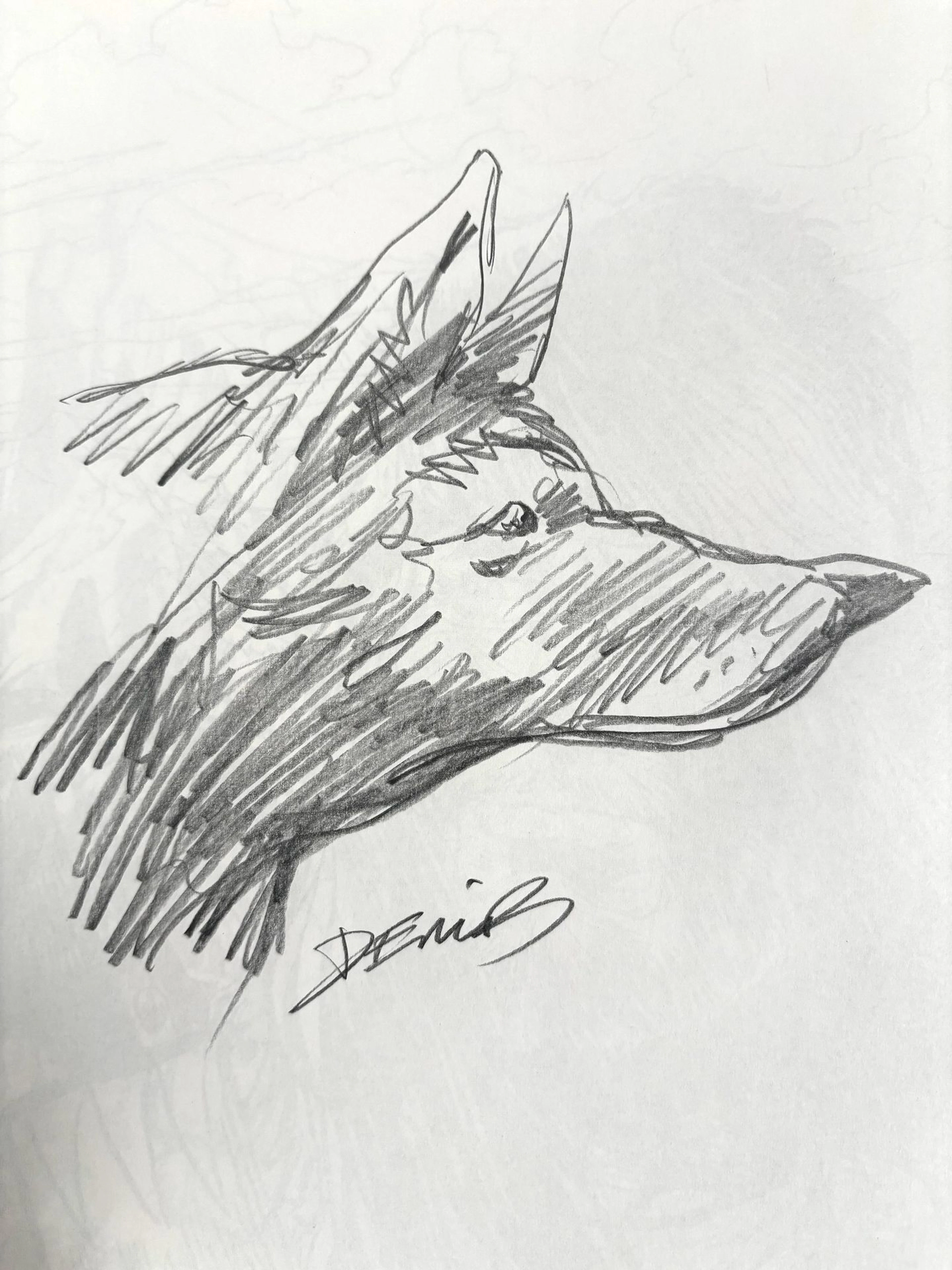 DERIB - Lot 162