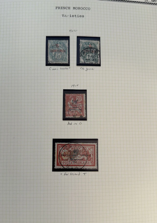 French Colonies - Maghreb: Stamp collection from Algeria, Mo - Lot 25