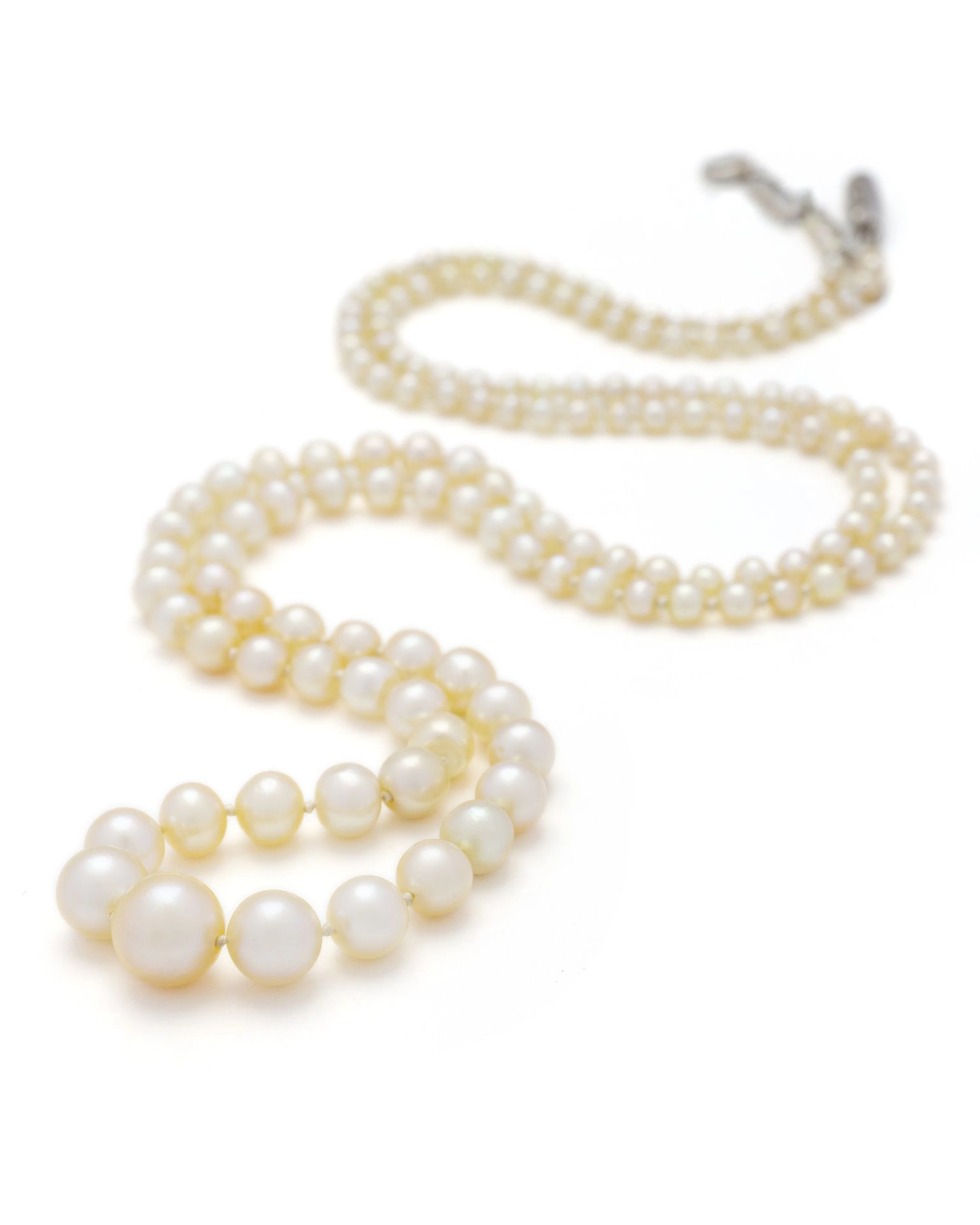 Necklace consisting of a single strand of 153 fine pearls ar - Lot 223