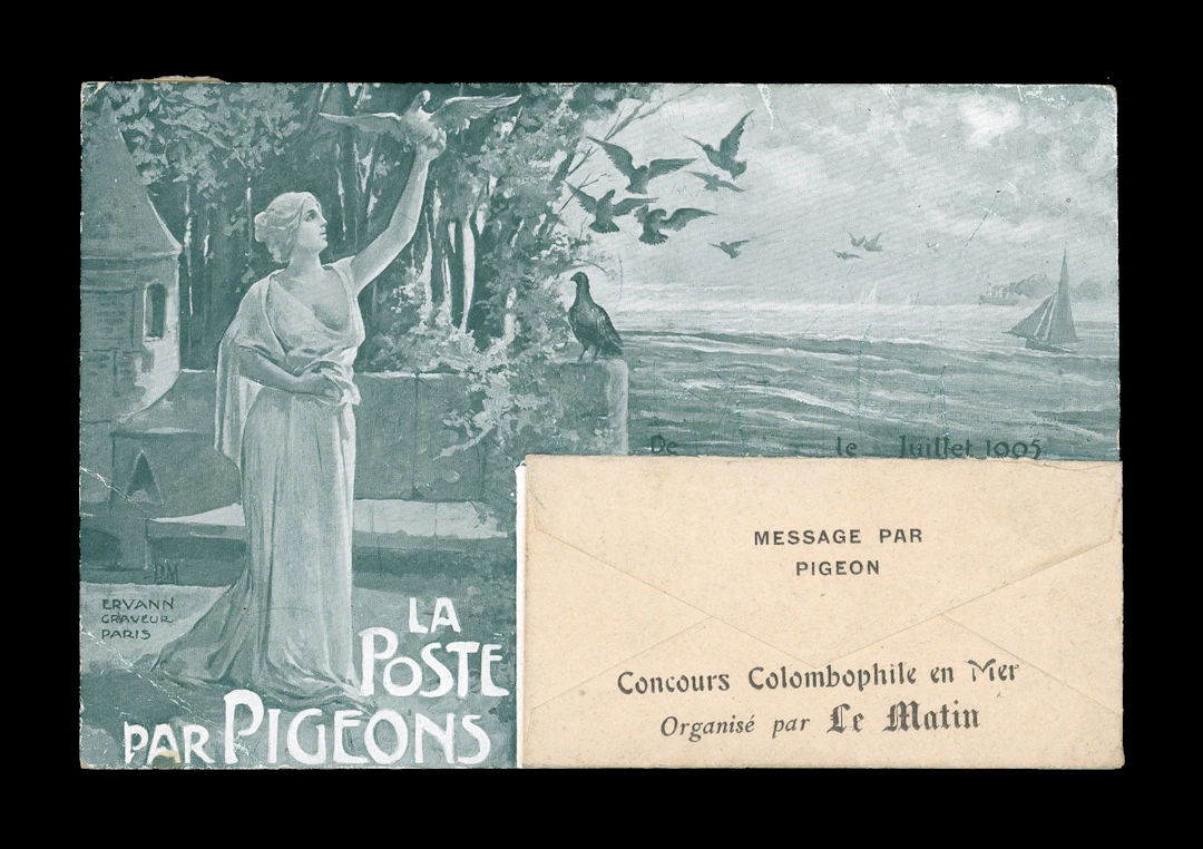Post by pigeon. Pigeon competition at sea with message in en - Lot 103