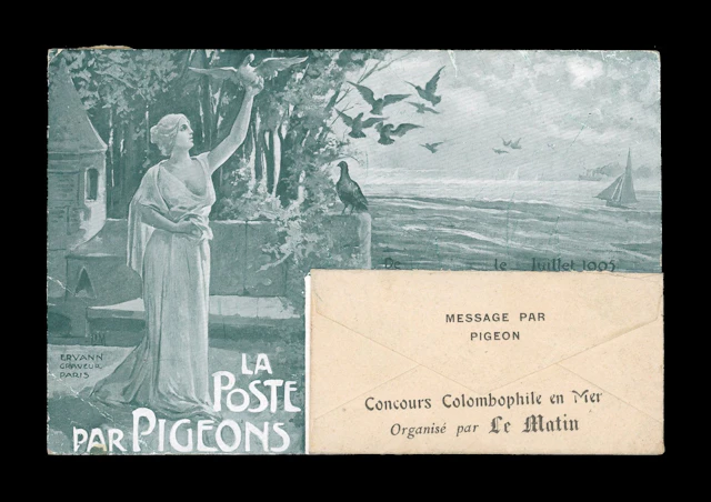 Post by pigeon. Pigeon competition at sea with message in en - Lot 103