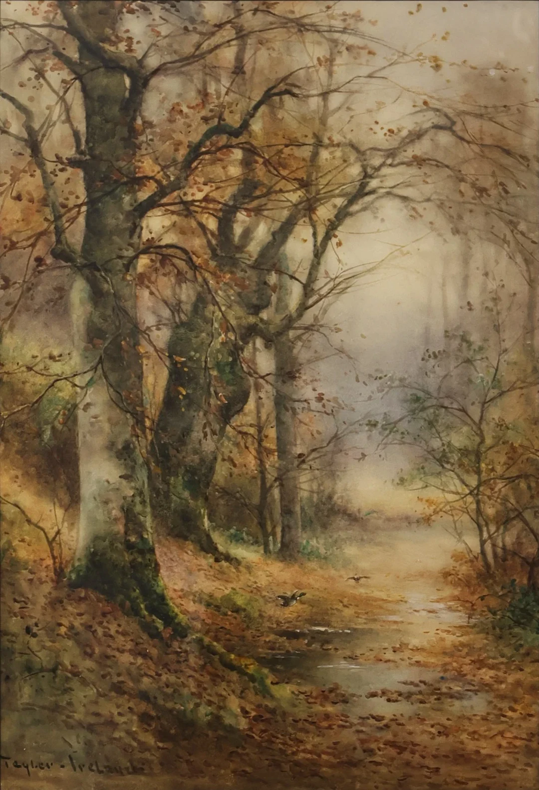 THOMAS TAYLOR-IRELAND (BRITISH, 1898-1921).