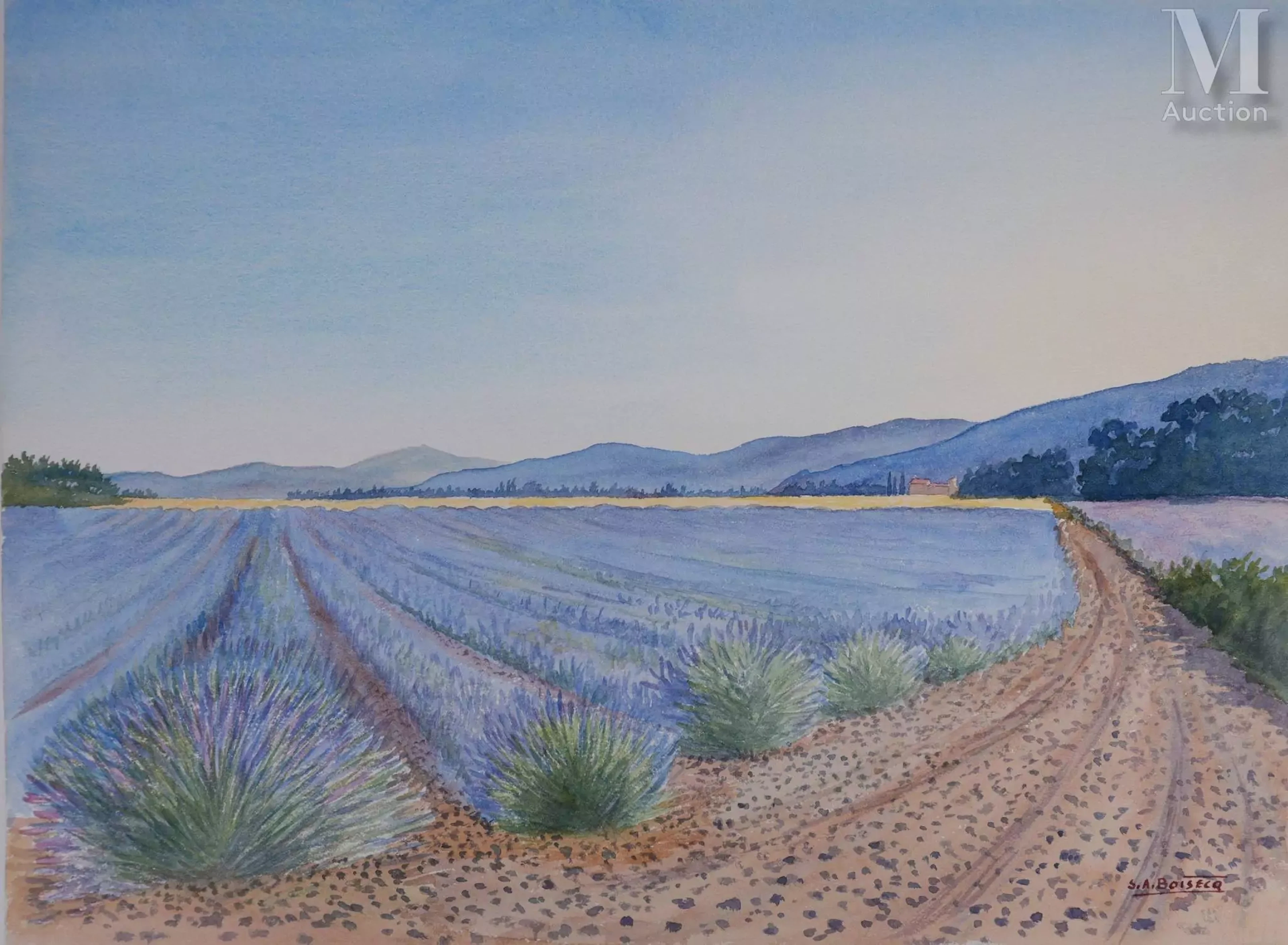 BOISECQ Salomon Alfred Champs de lavande à Valensole