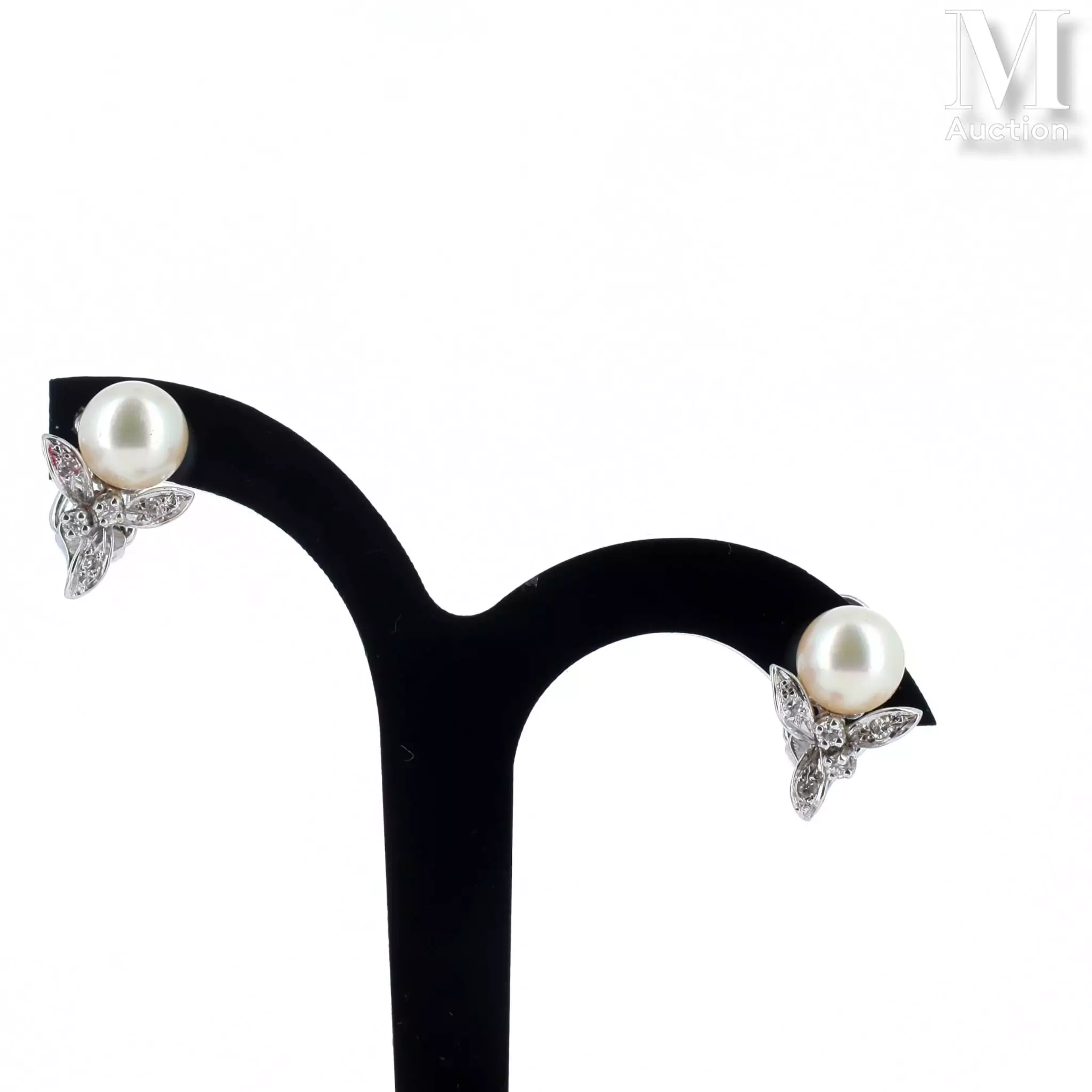 Paire de clips