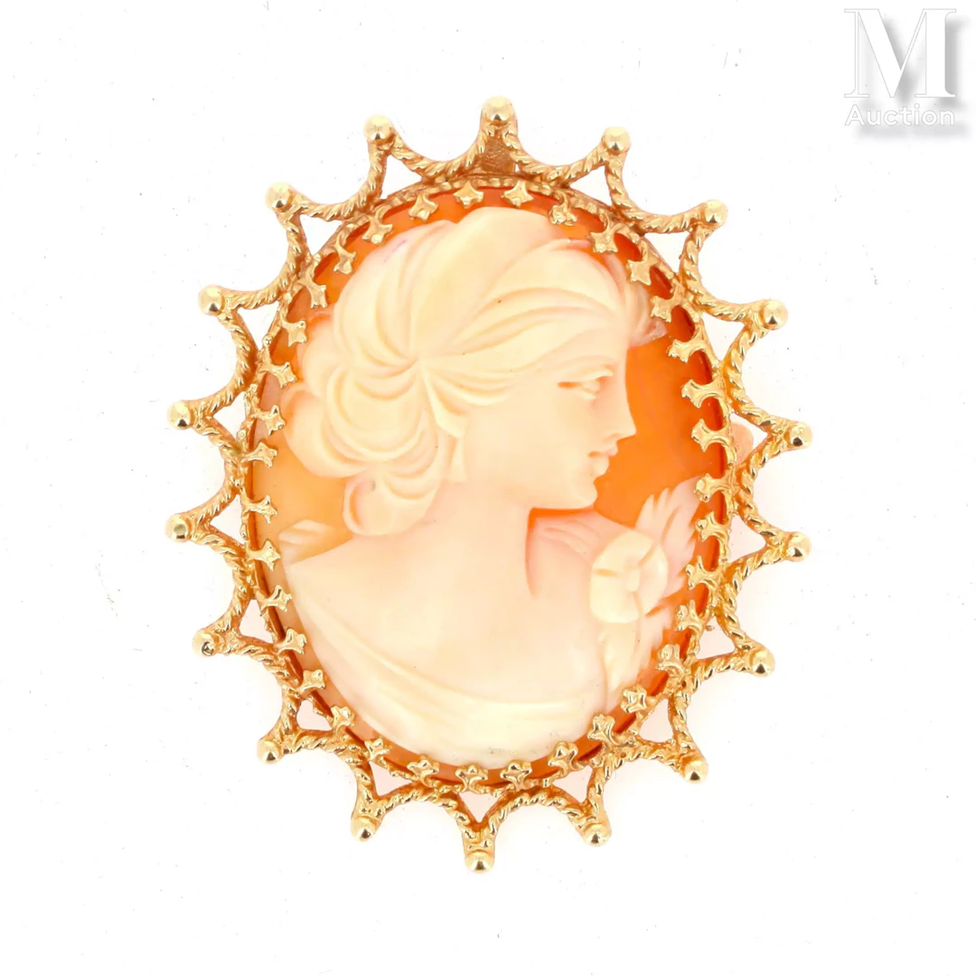 Broche camée