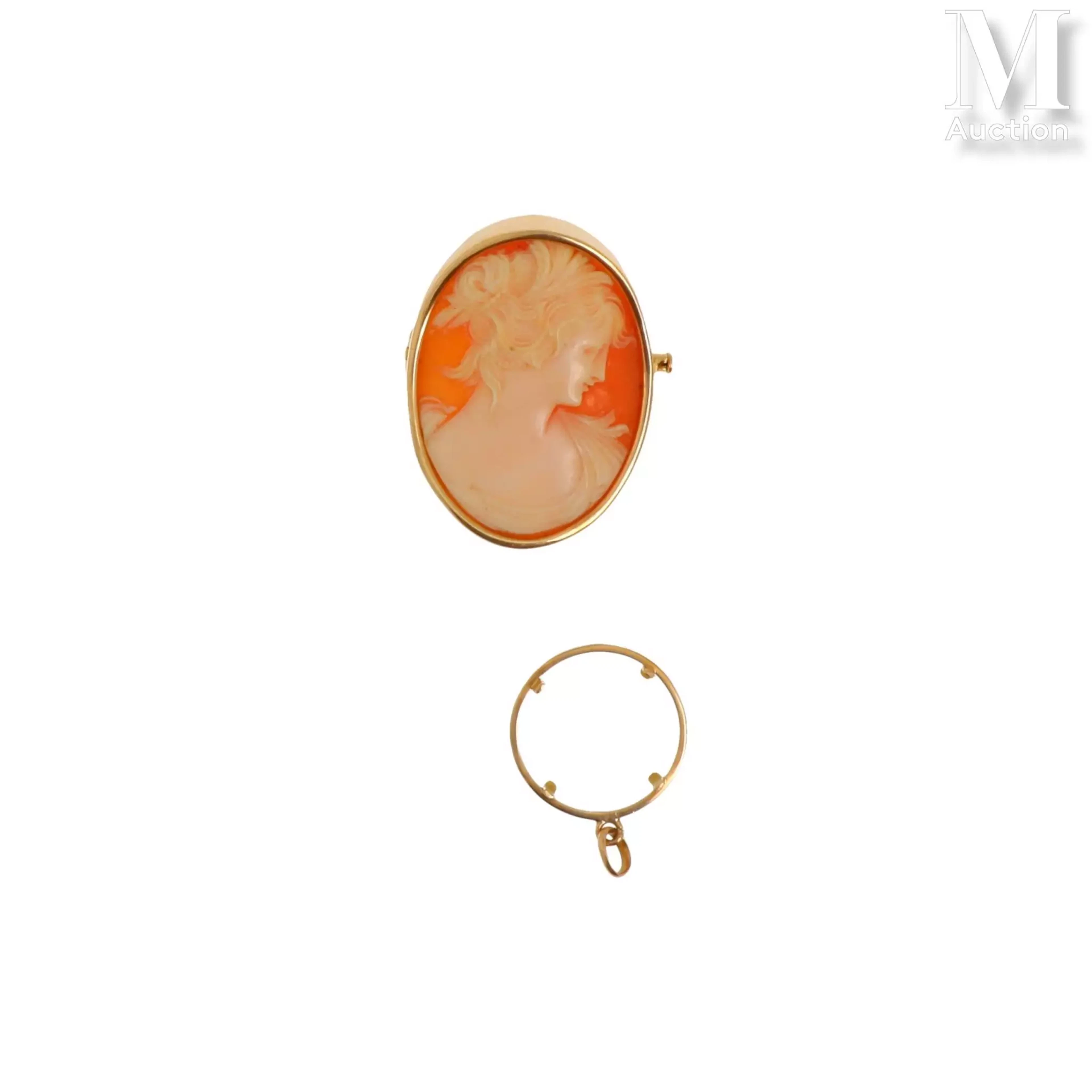 Broche camée