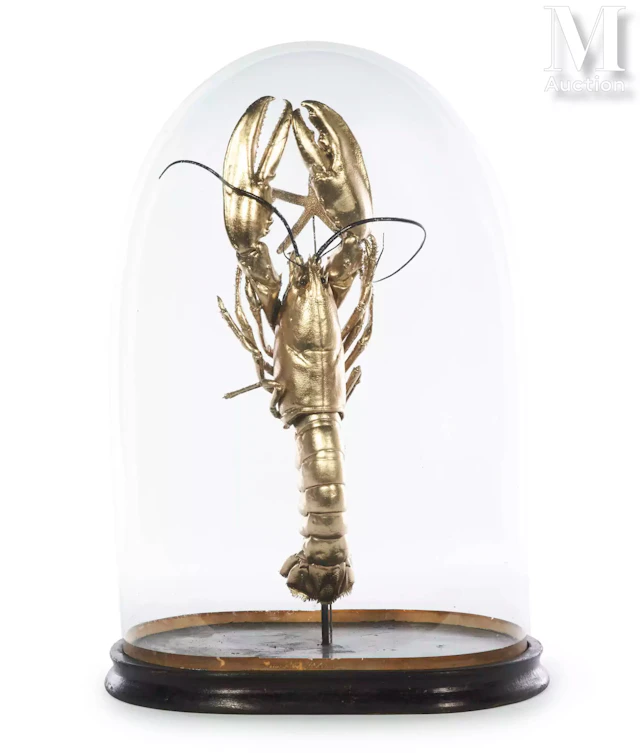 HOMARD