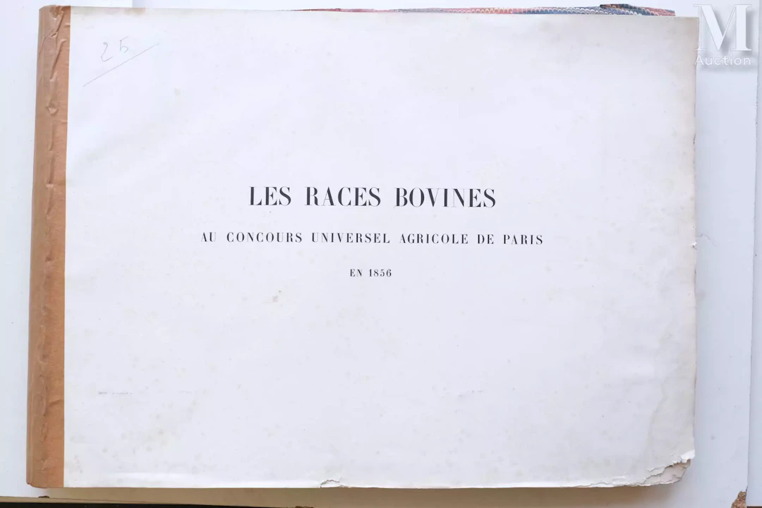 Les races bovines au concours universel agricole de PARIS en 1856. Gravures
