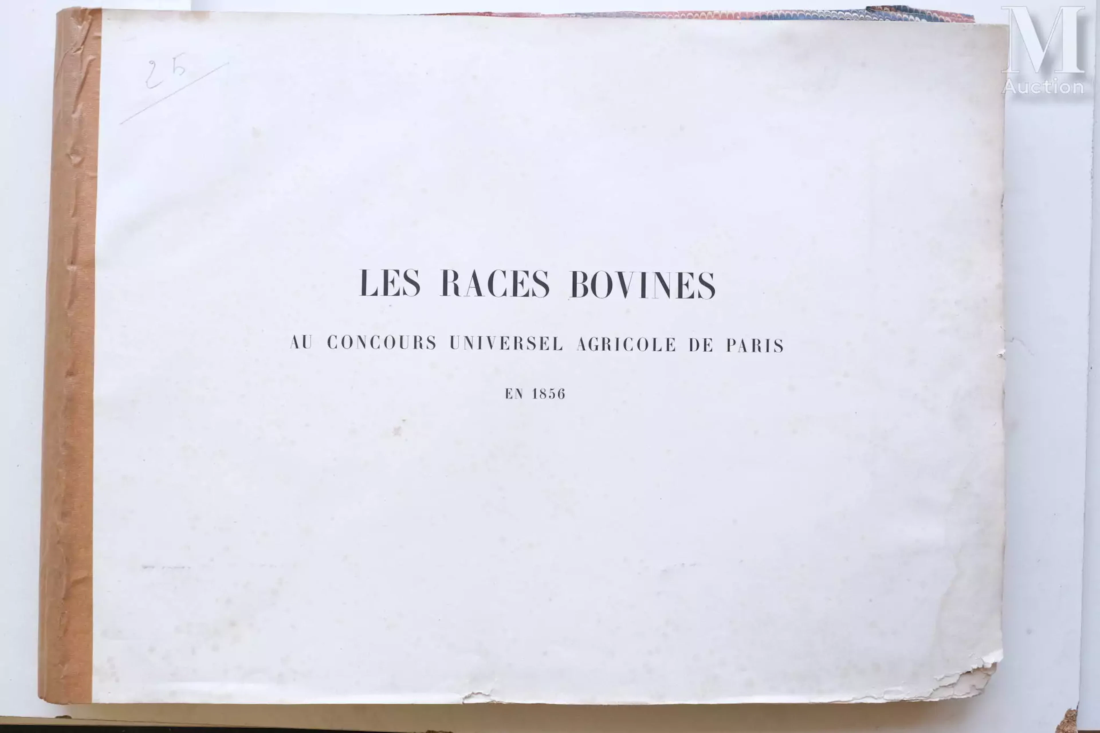 Les races bovines au concours universel agricole de PARIS en 1856. Gravures
