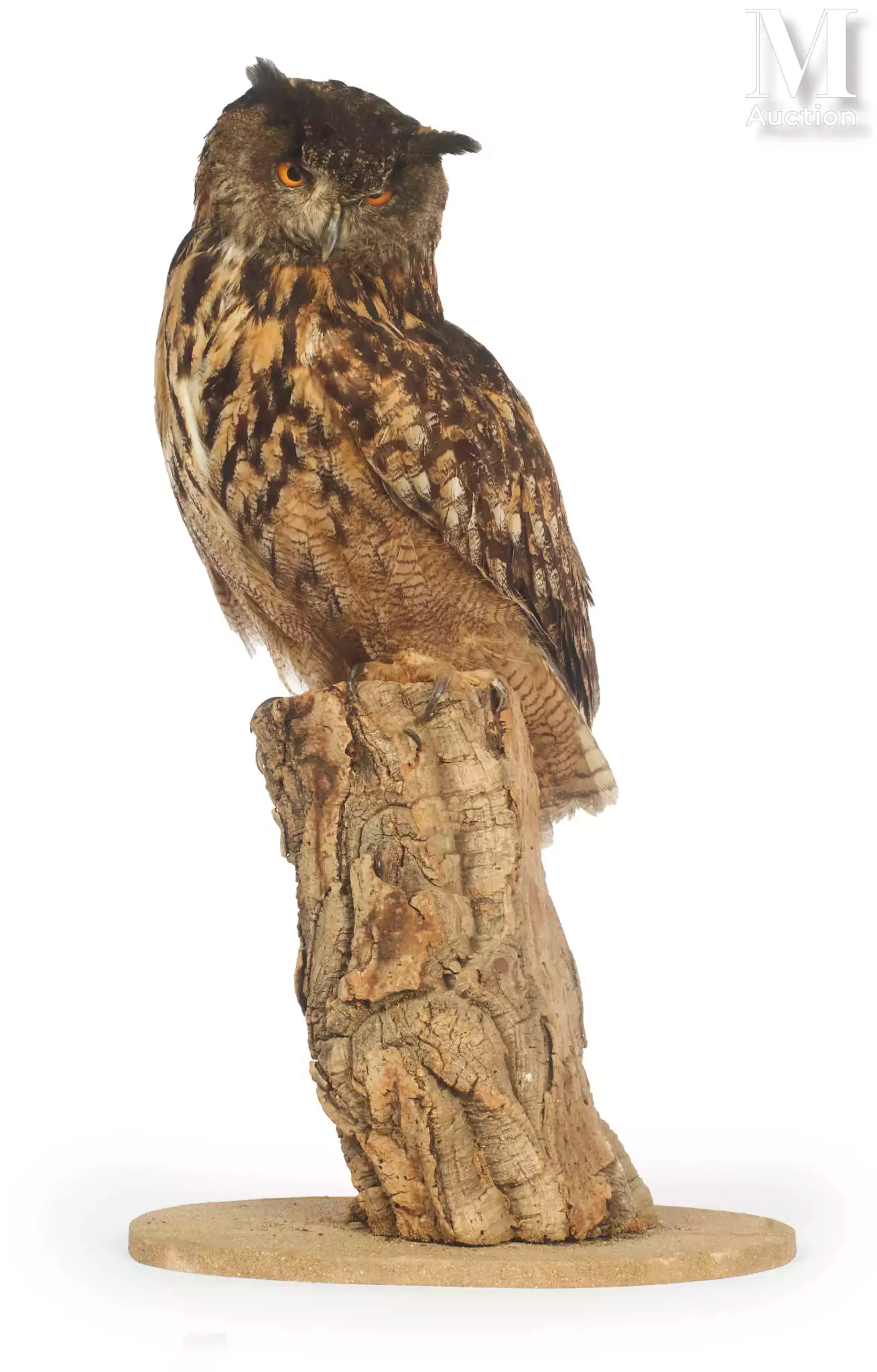 HIBOU GRAND-DUC