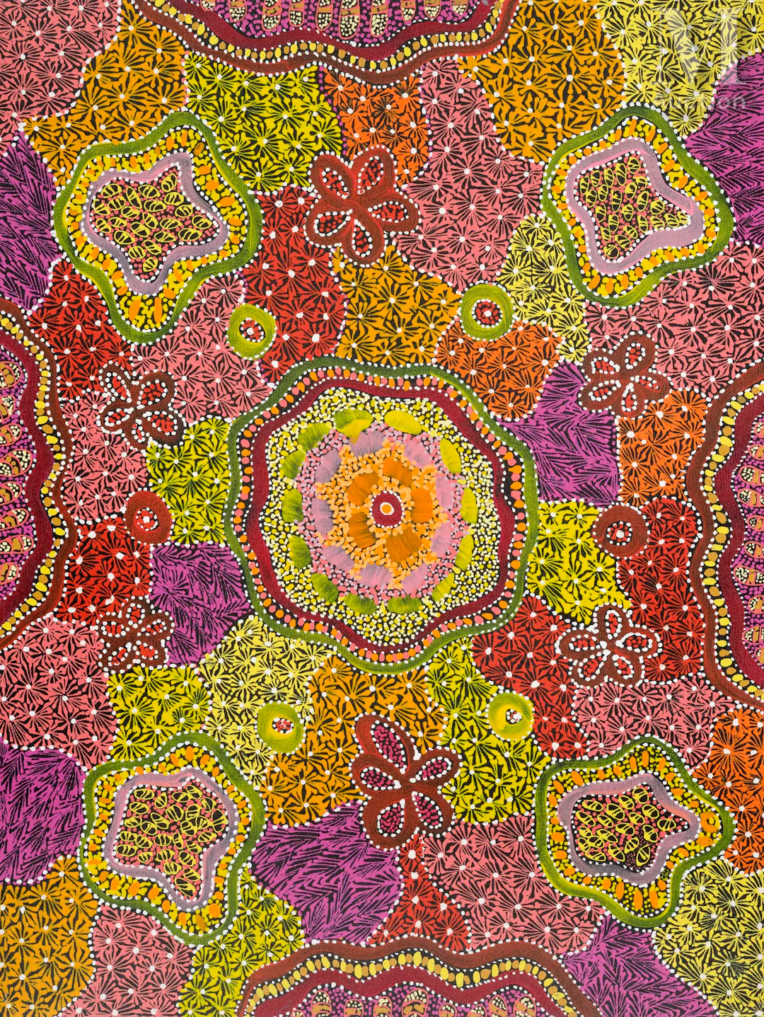 Carmen Jones Petyarre (1984 - ) Wild Onion, 2023