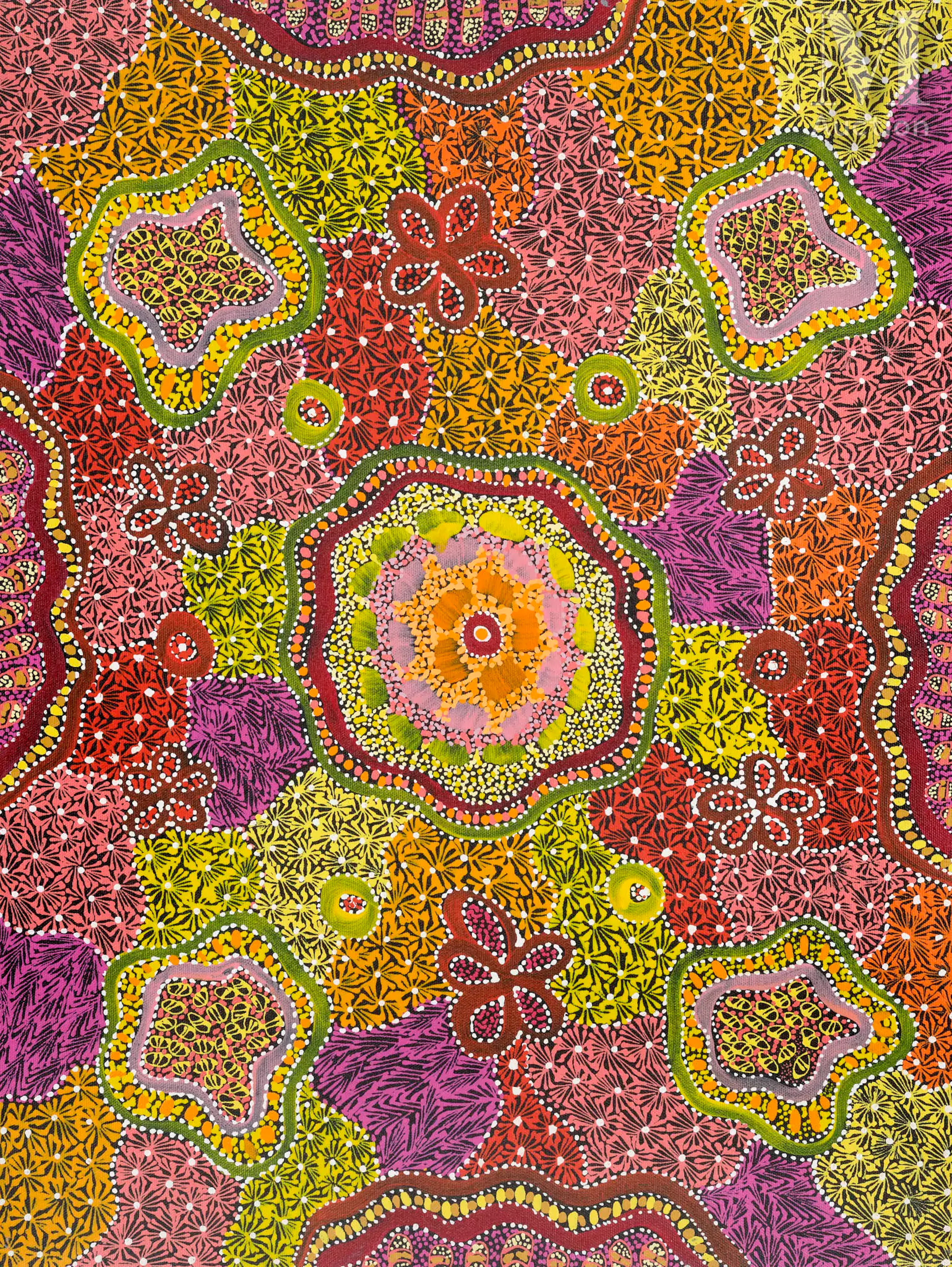Carmen Jones Petyarre (1984 - ) Wild Onion, 2023