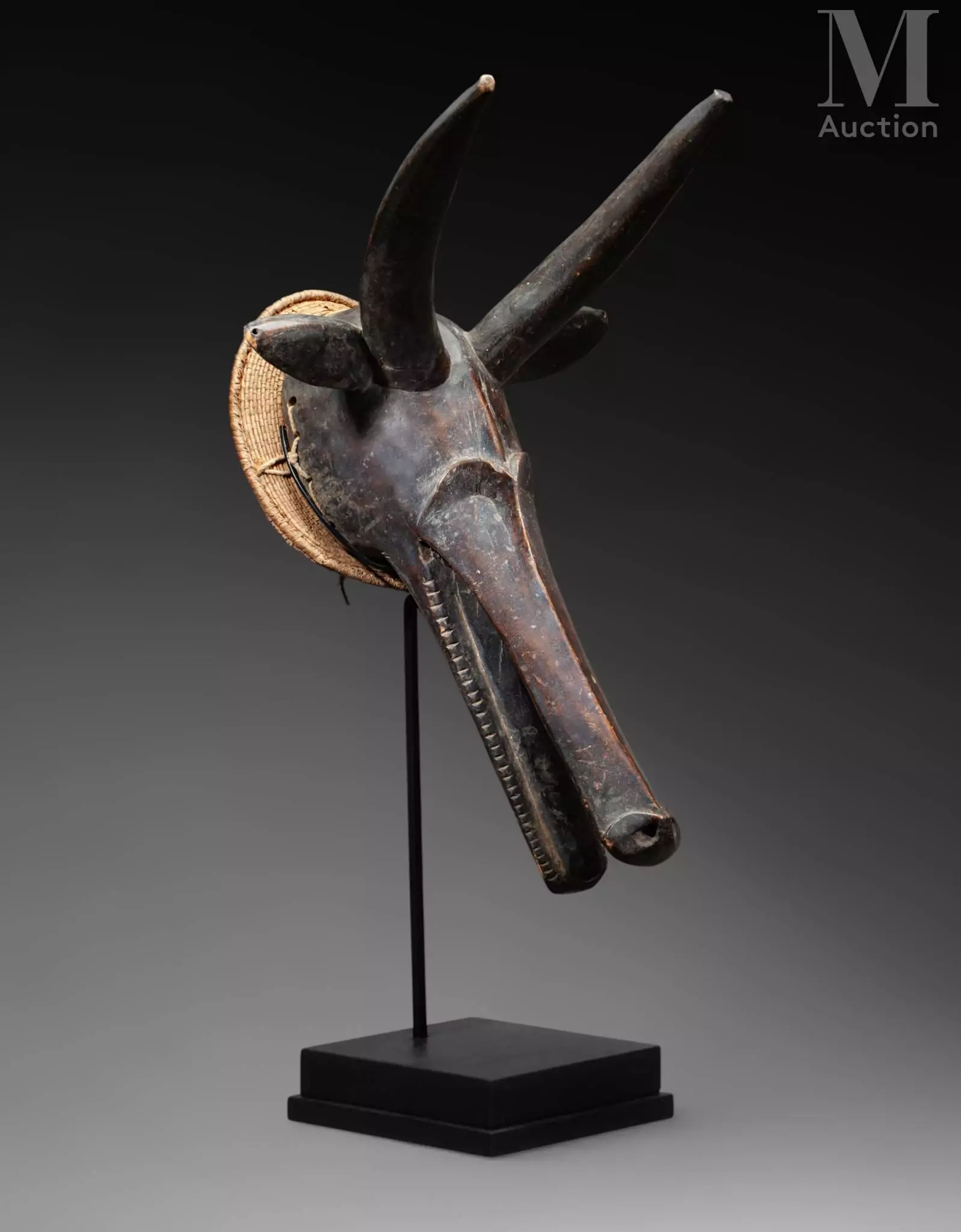 Cimier de danse
