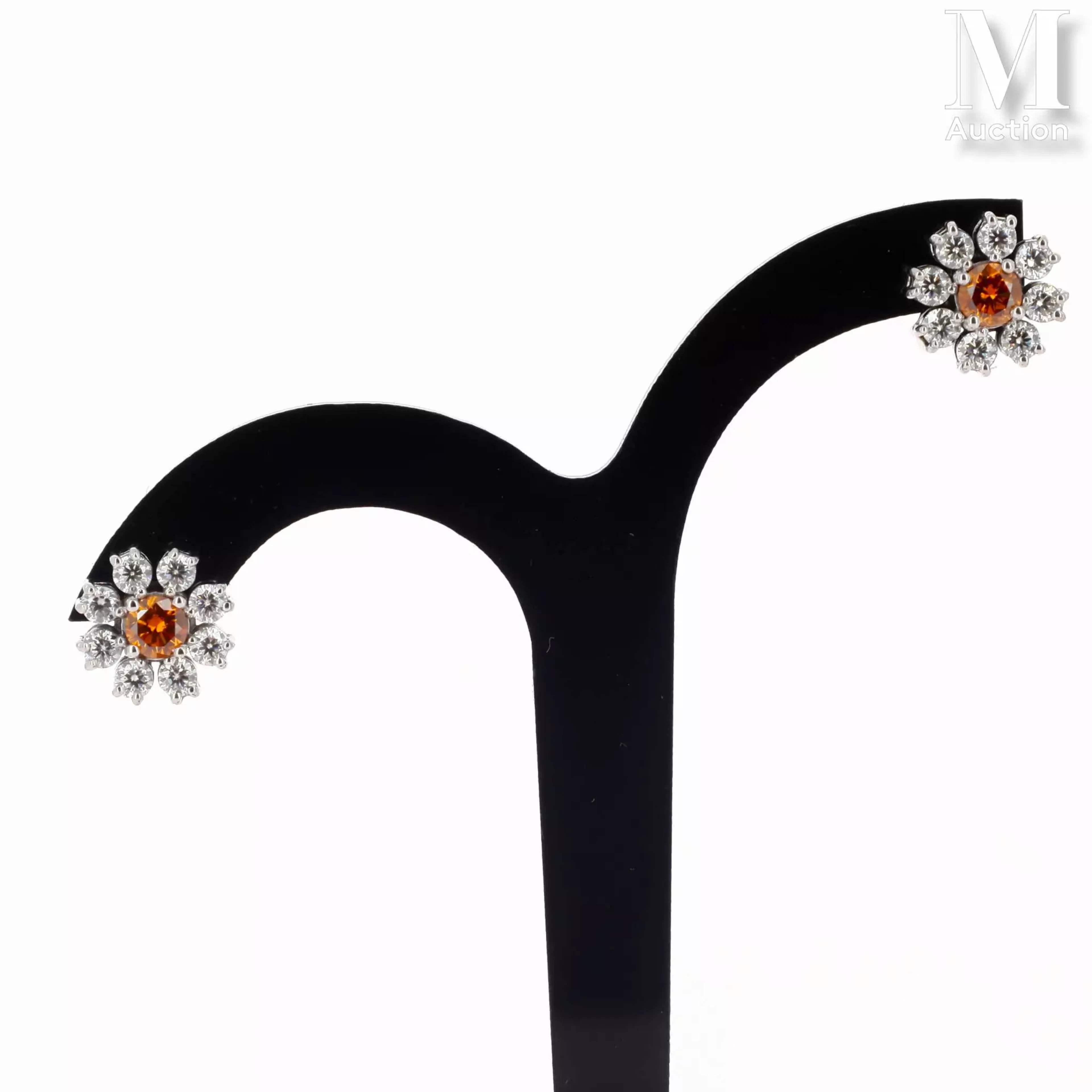 Paire de clous d'oreilles