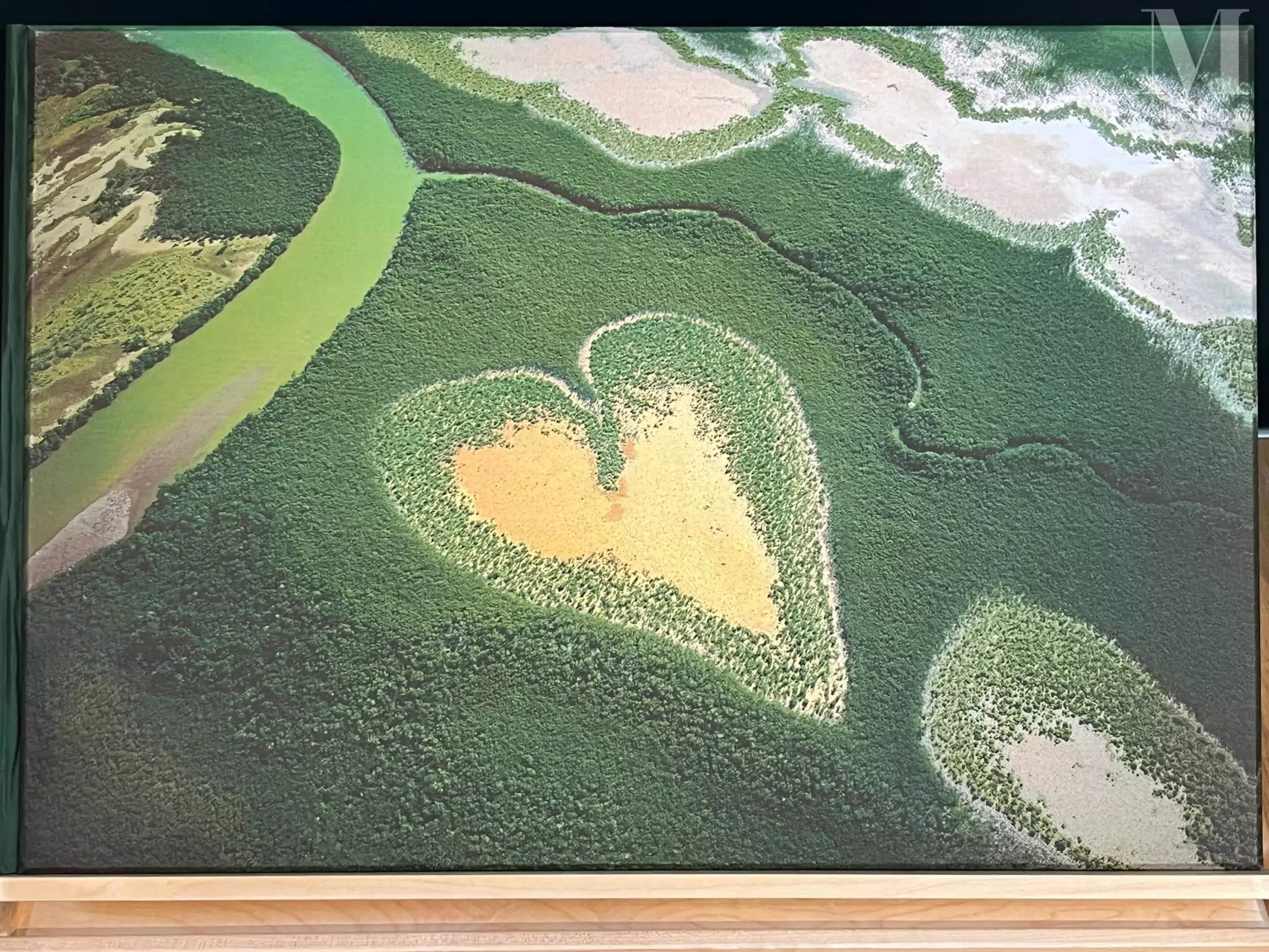 [PHOTOGRAPHIE] YANN ARTHUS BERTRAND