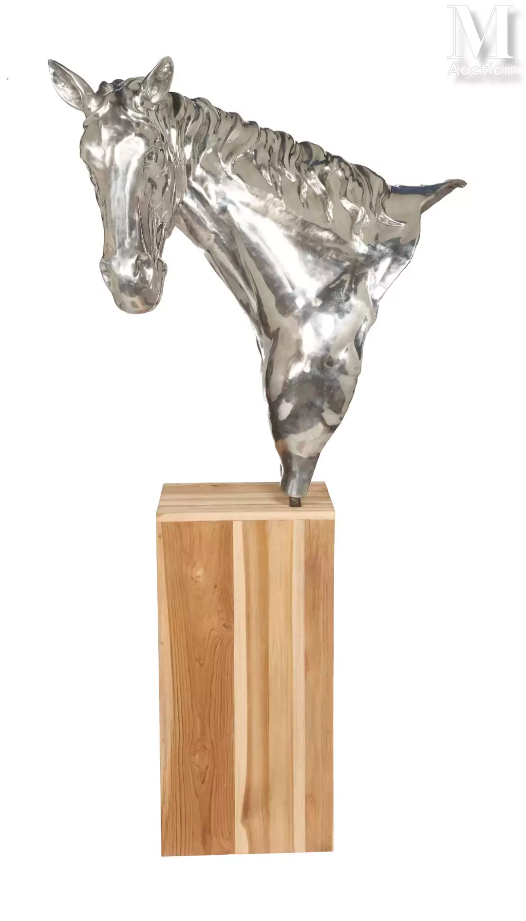 BELLE TÊTE DE CHEVAL