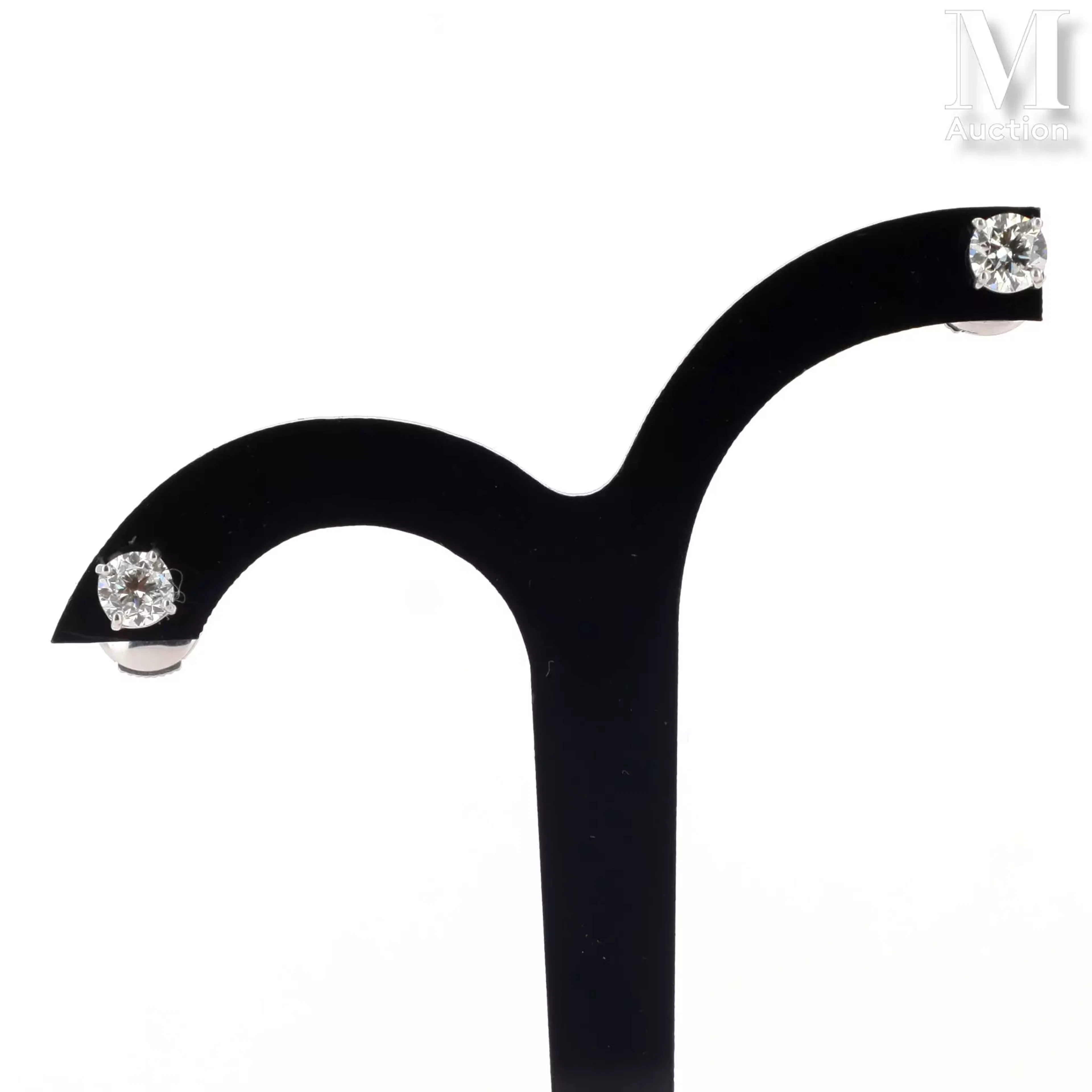 Paire de clous d'oreilles