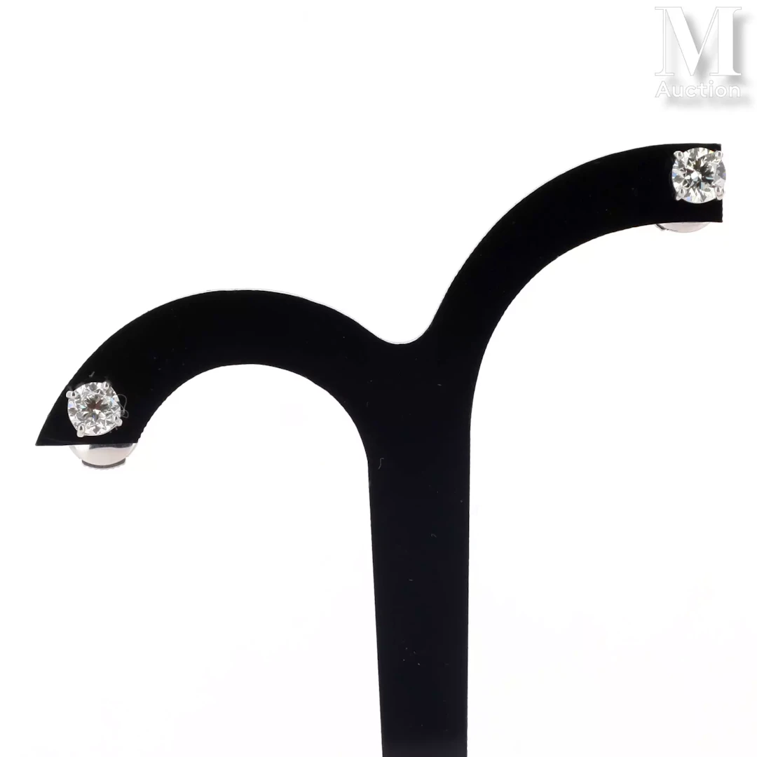 Paire de clous d'oreilles