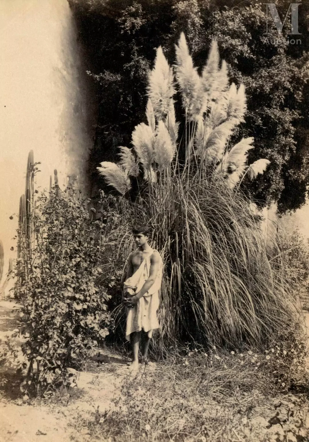 Wilhelm VON GLOEDEN (1856-1931) et Guglielmo PLUSCHOW (1852-1930)