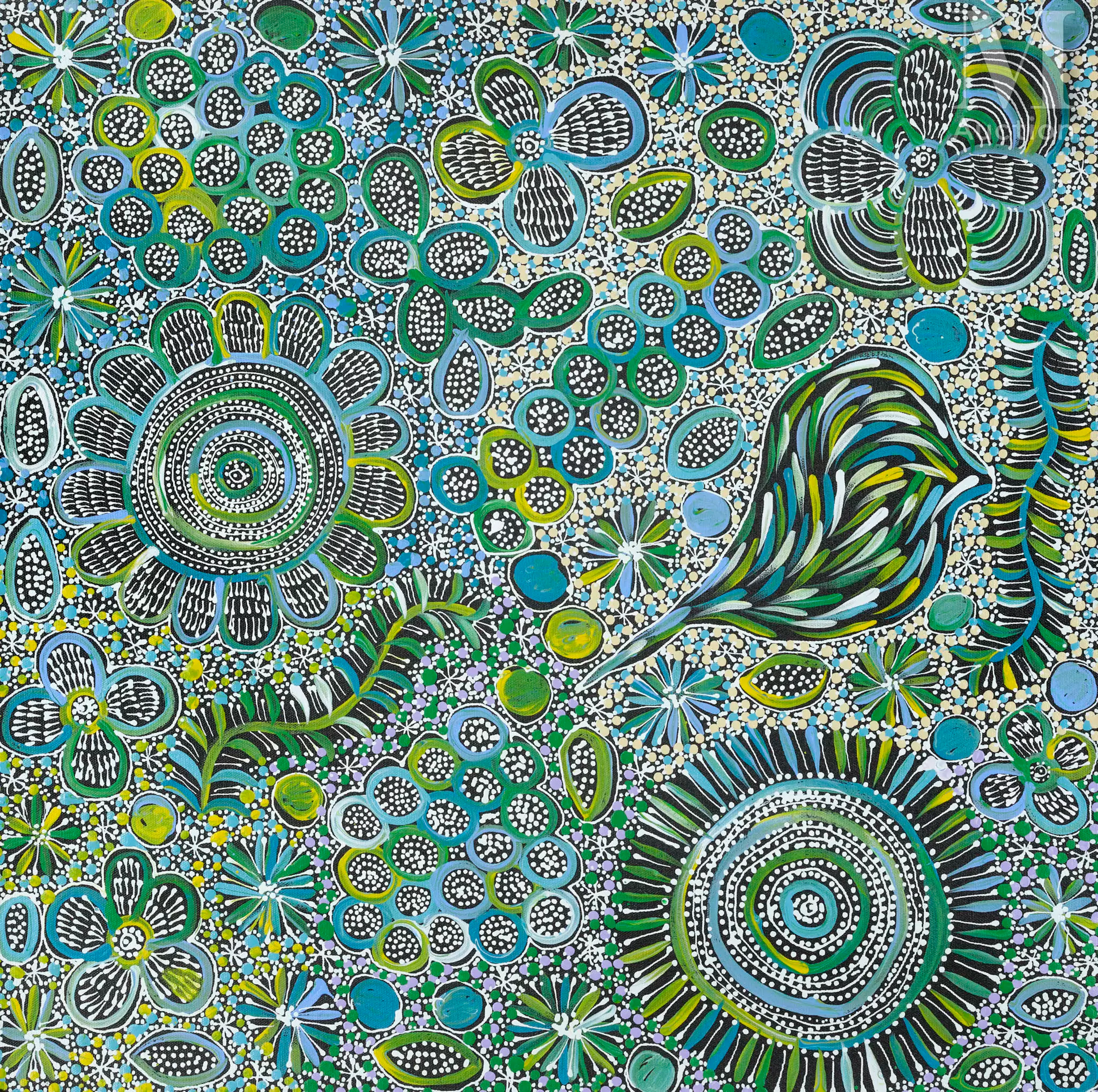 Belinda Golder Kngwarreye (1988 - ) Atnwelarre, 2022