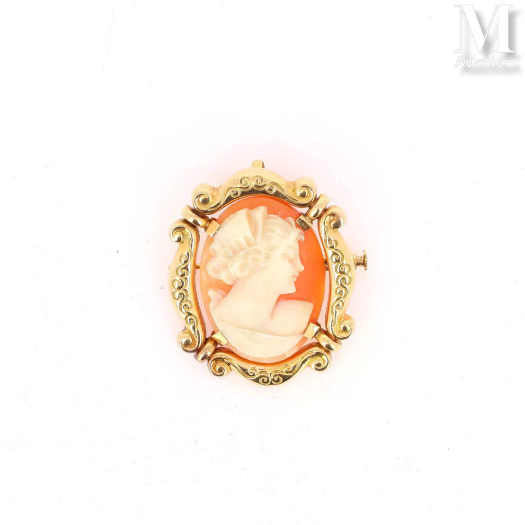 Broche pendentif camée