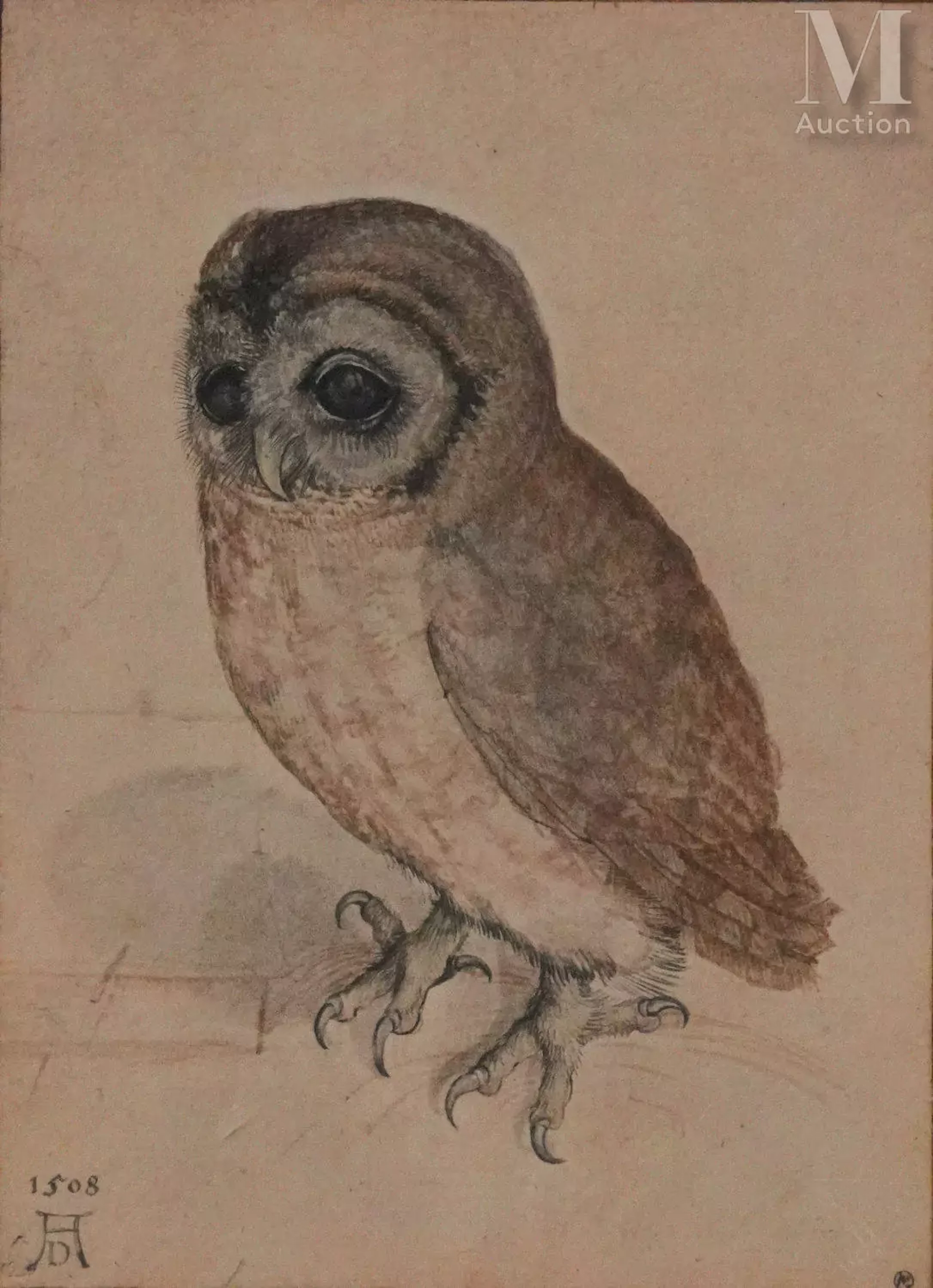 DURER Albrecht (1471-1528) La chouette, 1922