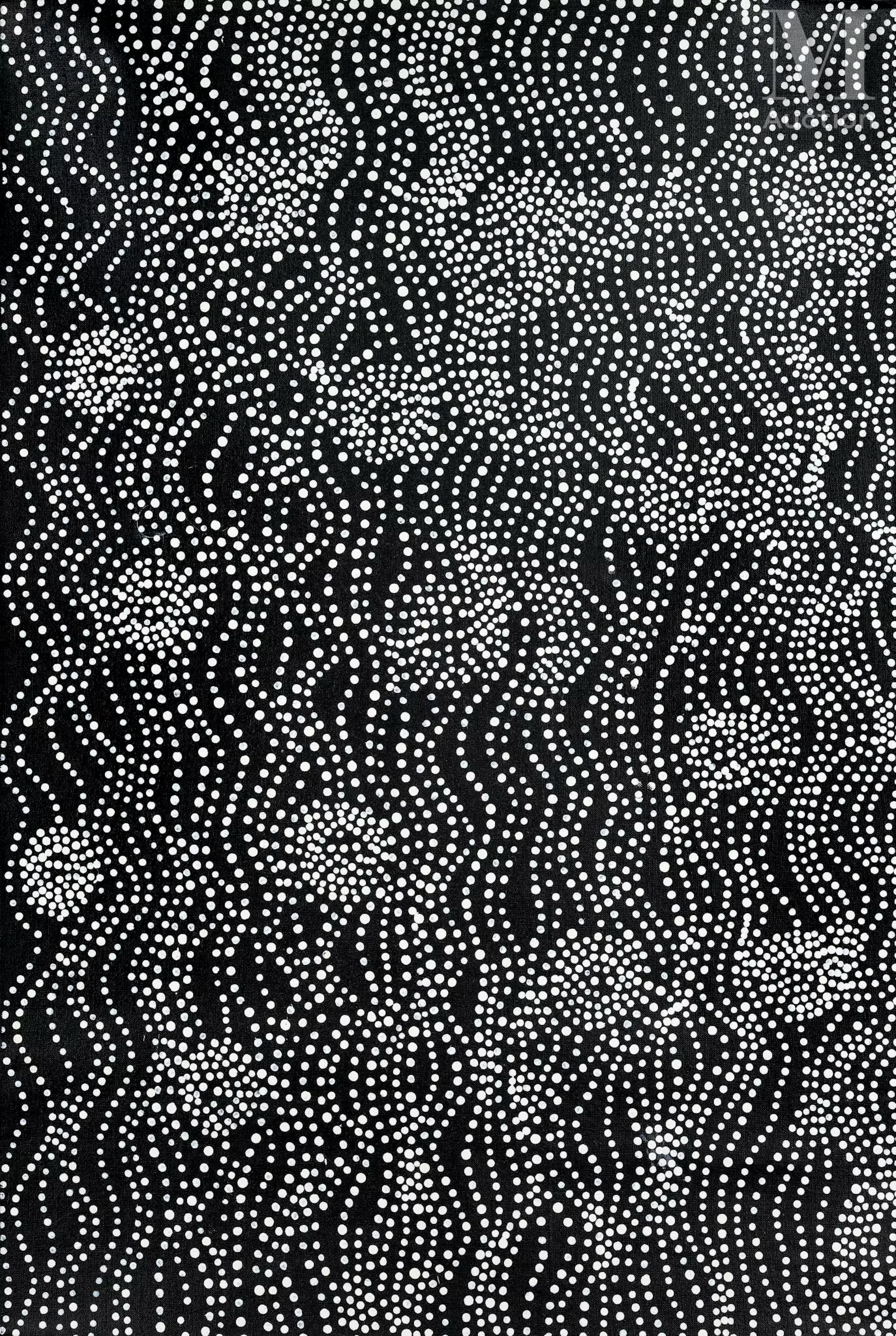 Julie Robinson Nangala (1973 - ) My Mother's Country, Mina Mina Jukurrpa
