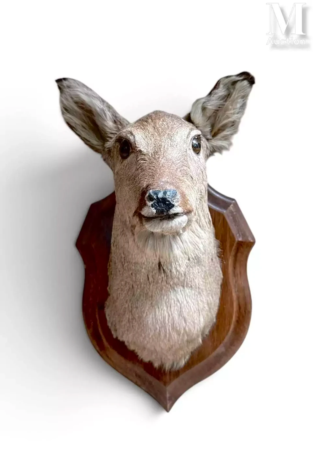 BICHE ou CHEVRETTE