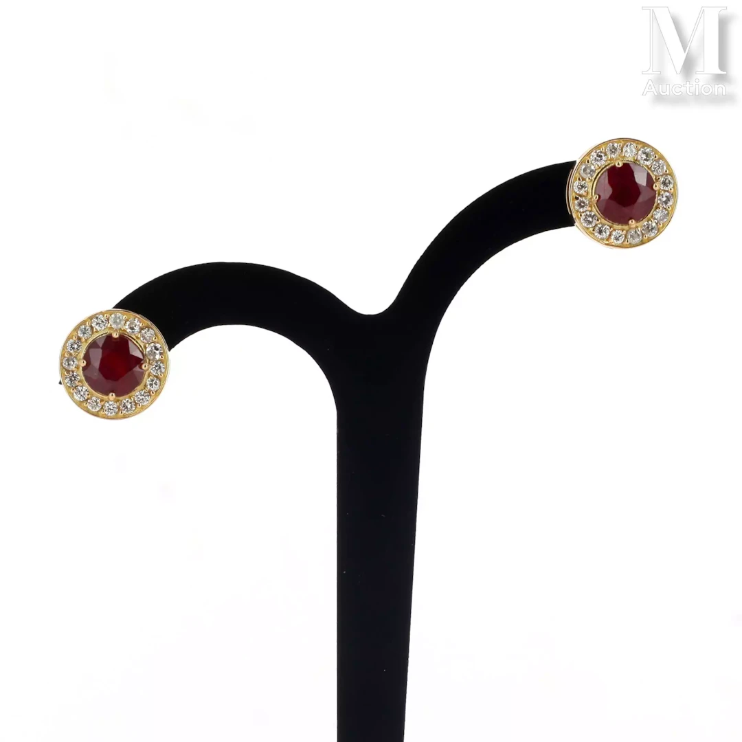 Paire de clous d'oreilles
