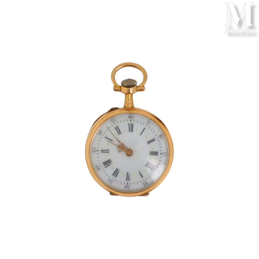 Montre de col